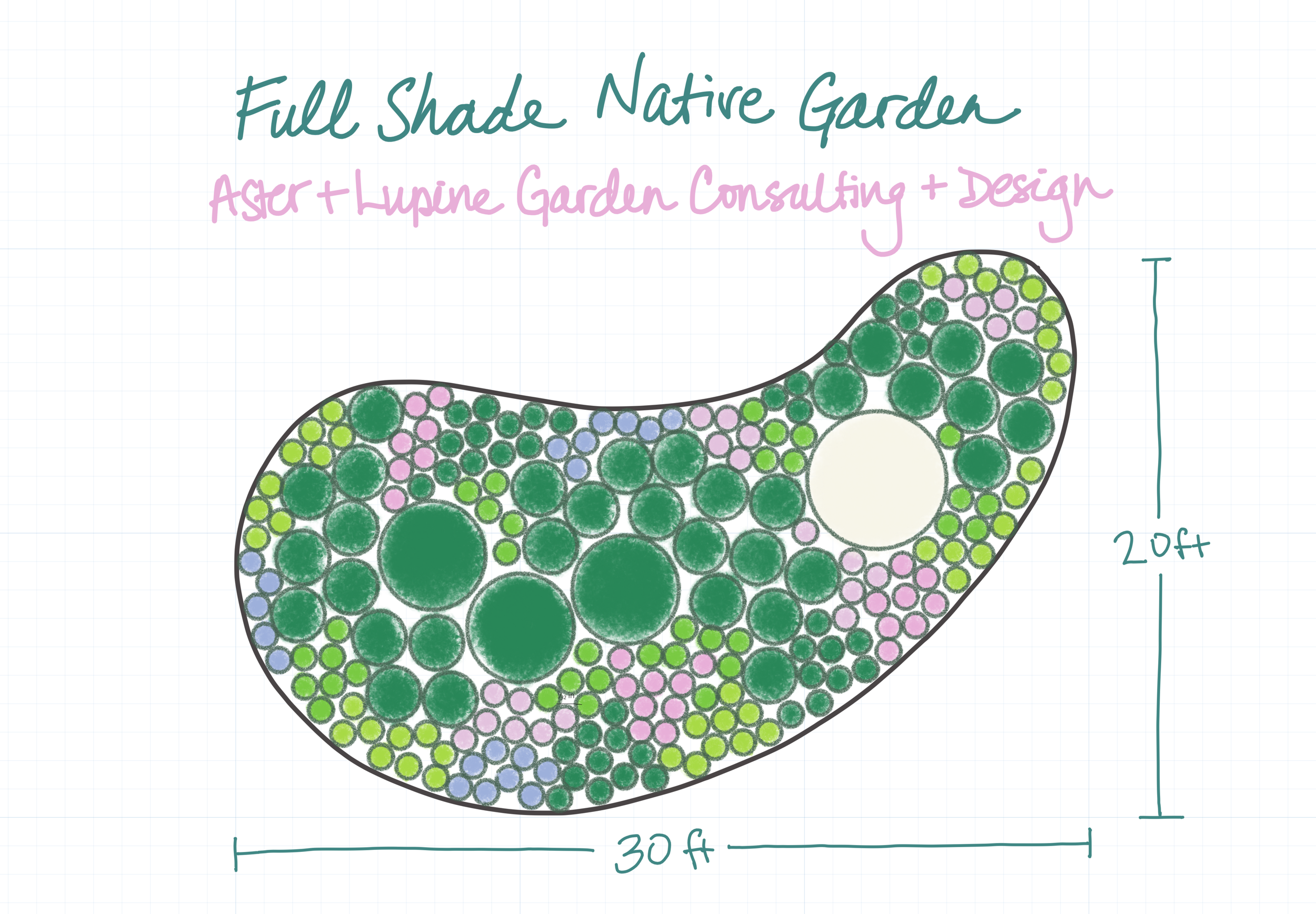 Full shade front yard native large.png