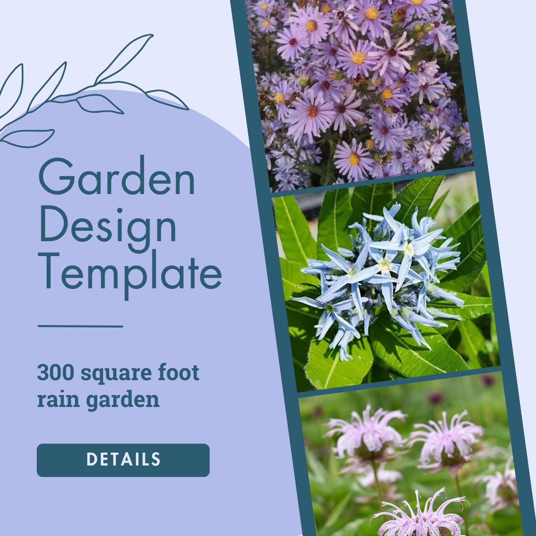 Native Rain Garden - Large