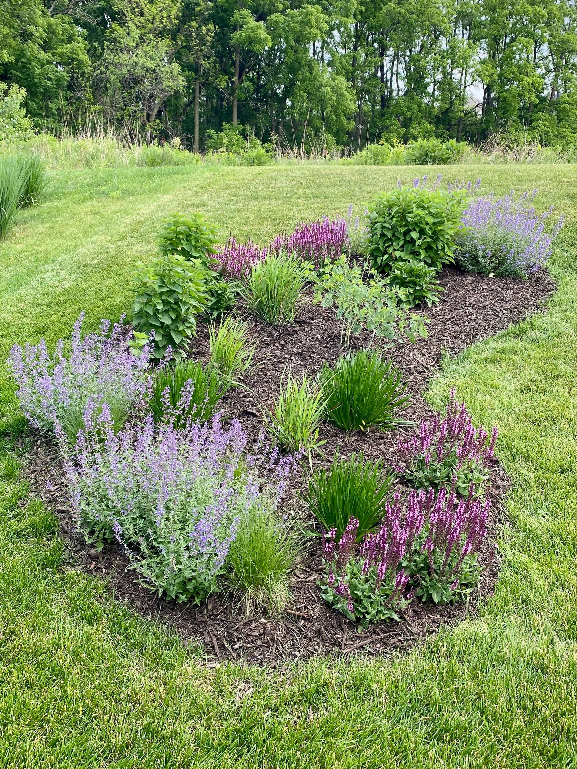 How to Create a New Garden Bed