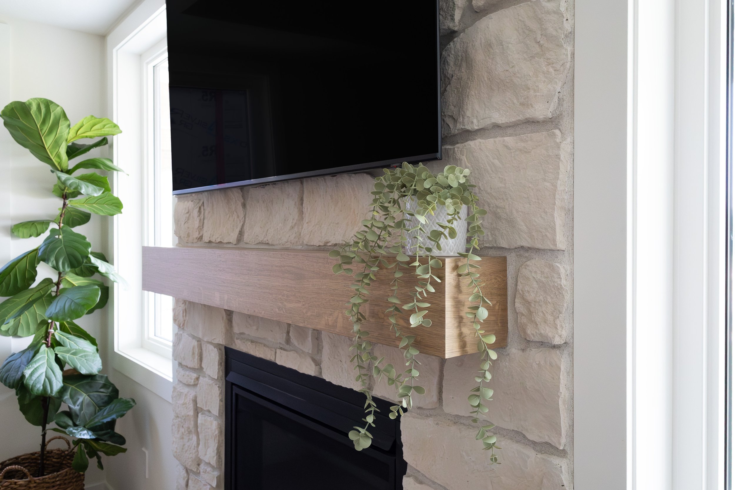 Young Fireplace IMG_7227.jpg