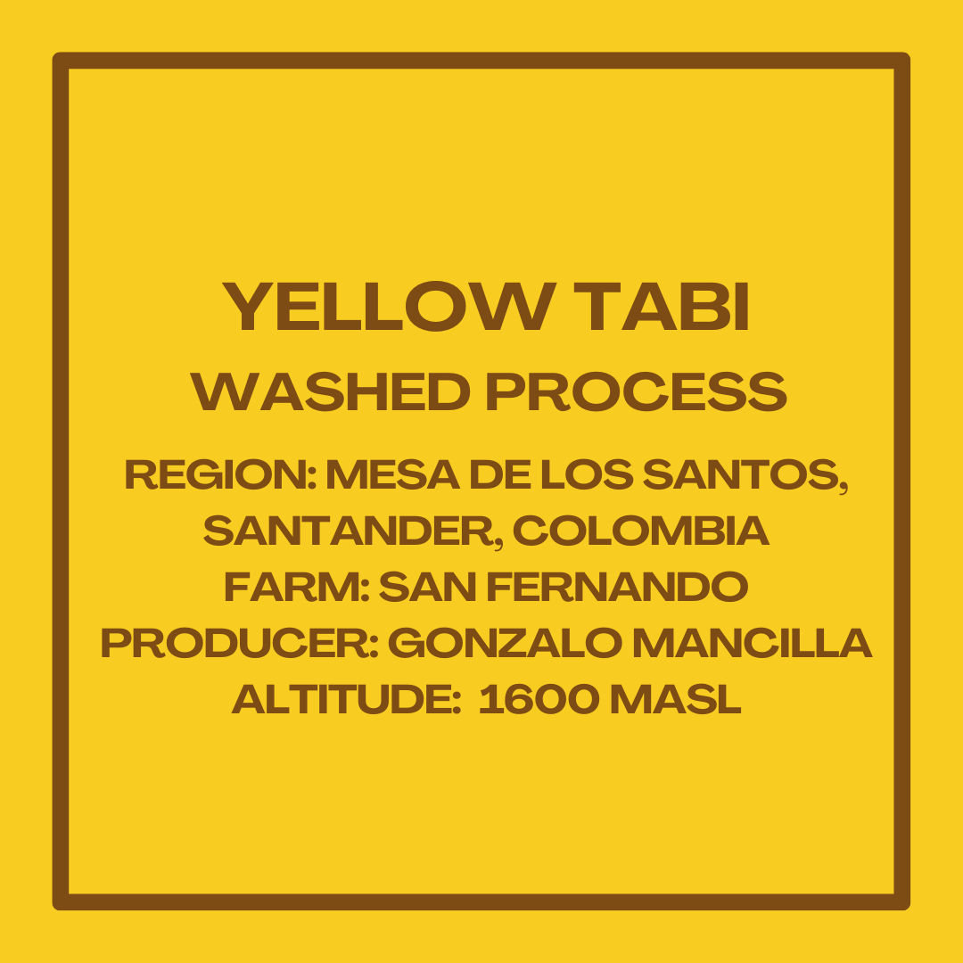 YellowTabiMancillaInfoSquare.png