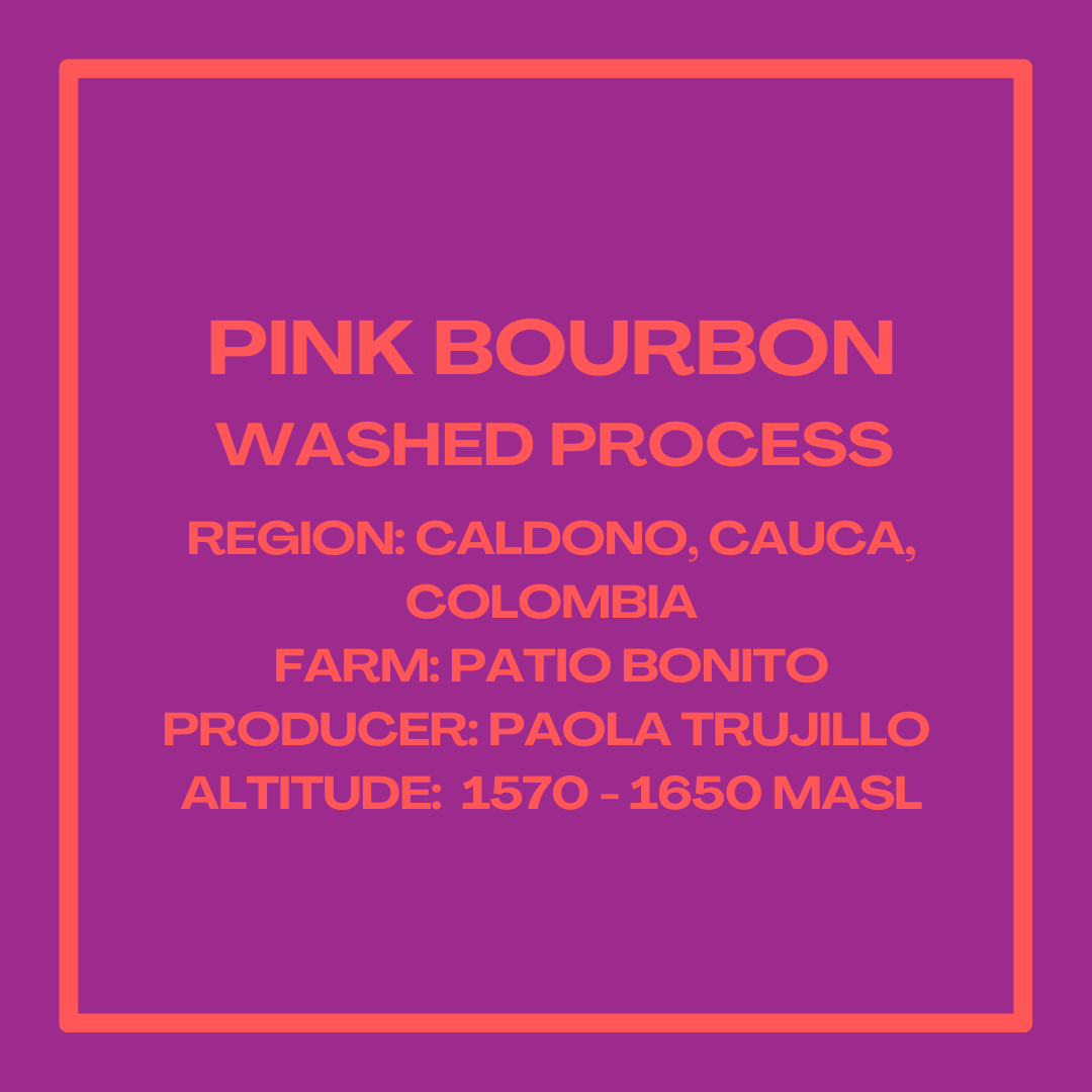 PinkBourbonPaolaTrujilloInfoSquare.png