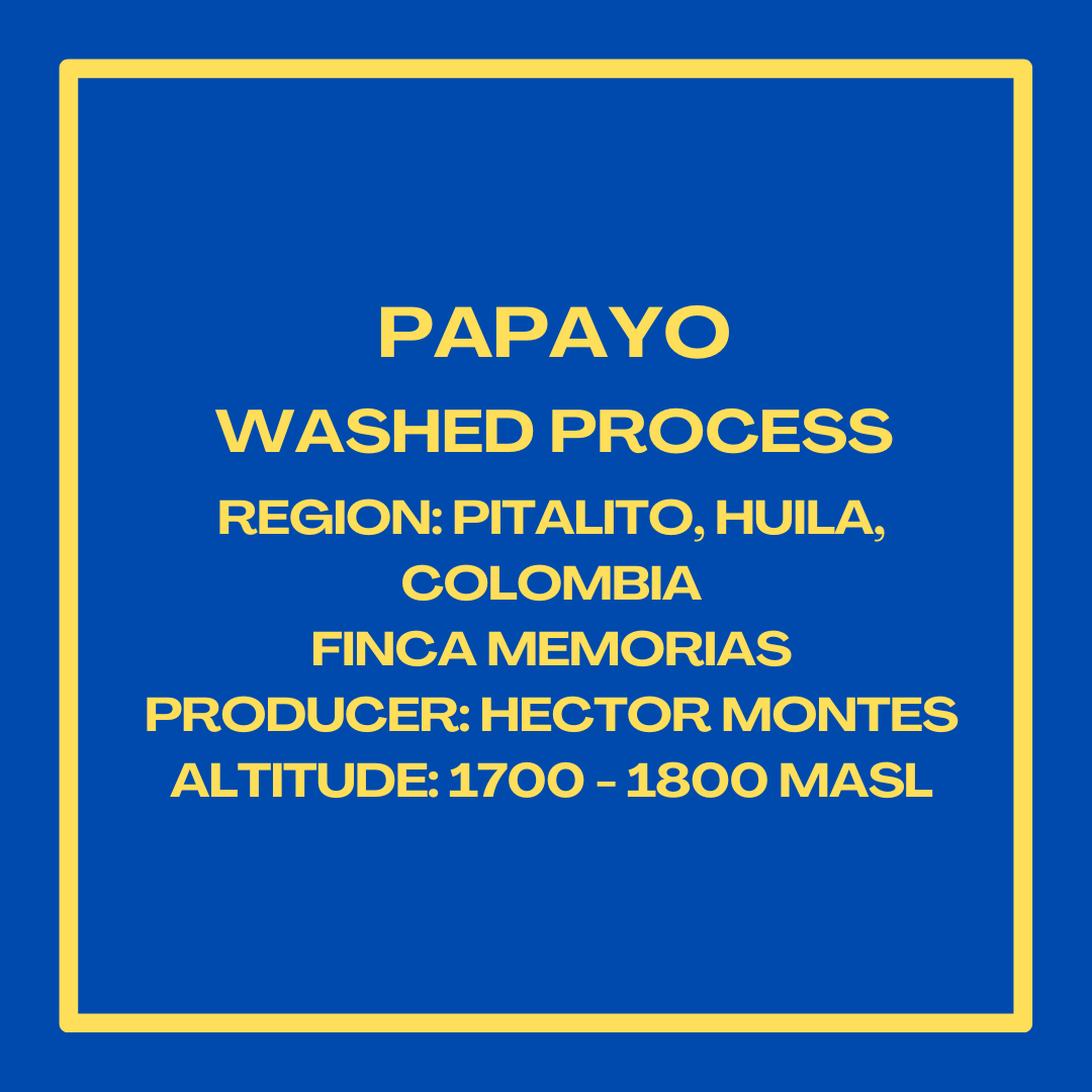 PapayoWashedHectorMontesInfoSquare.png