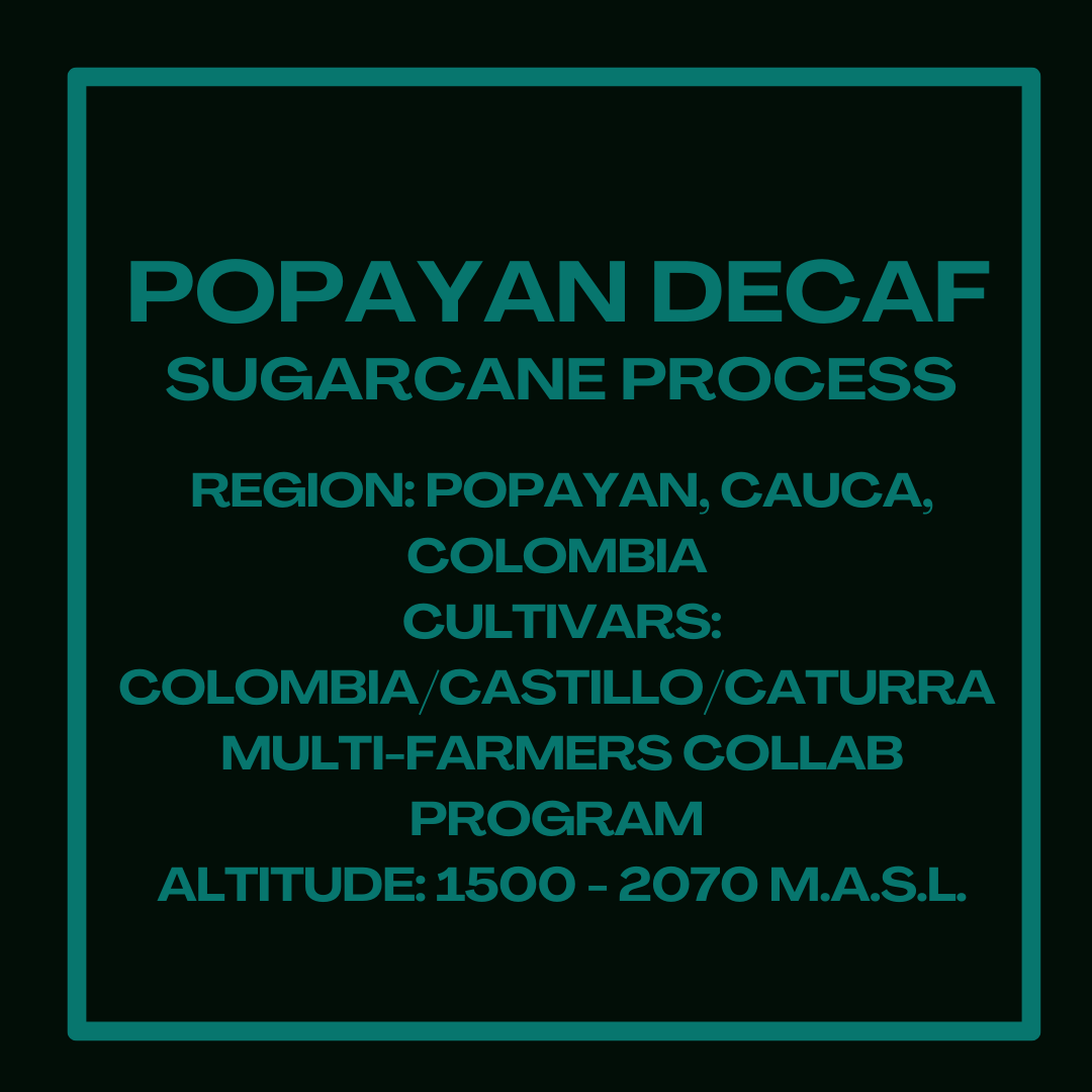 PopayanDecafInfoSquare.png