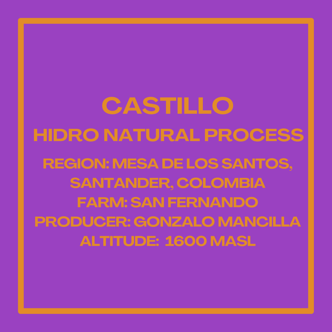 CastilloHidroNaturalMancillaInfoSquare.png