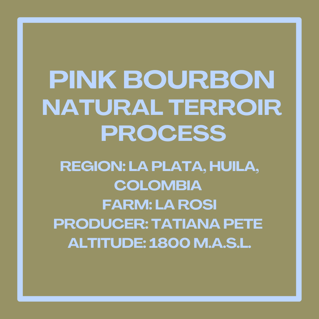 PINKBOURBONTATIANAPETEINFOSQUARE.png