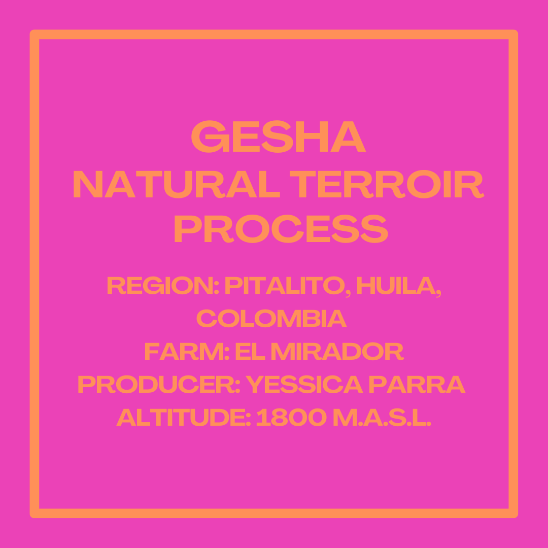 GESHAYESSICAPARRAINFOSQUARE.png