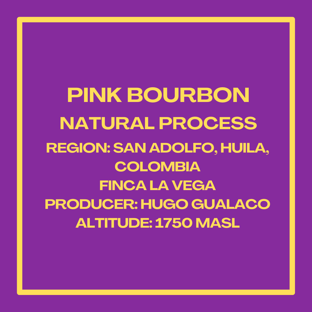 PinkBourbonHugoGualacoInfoSquare.png