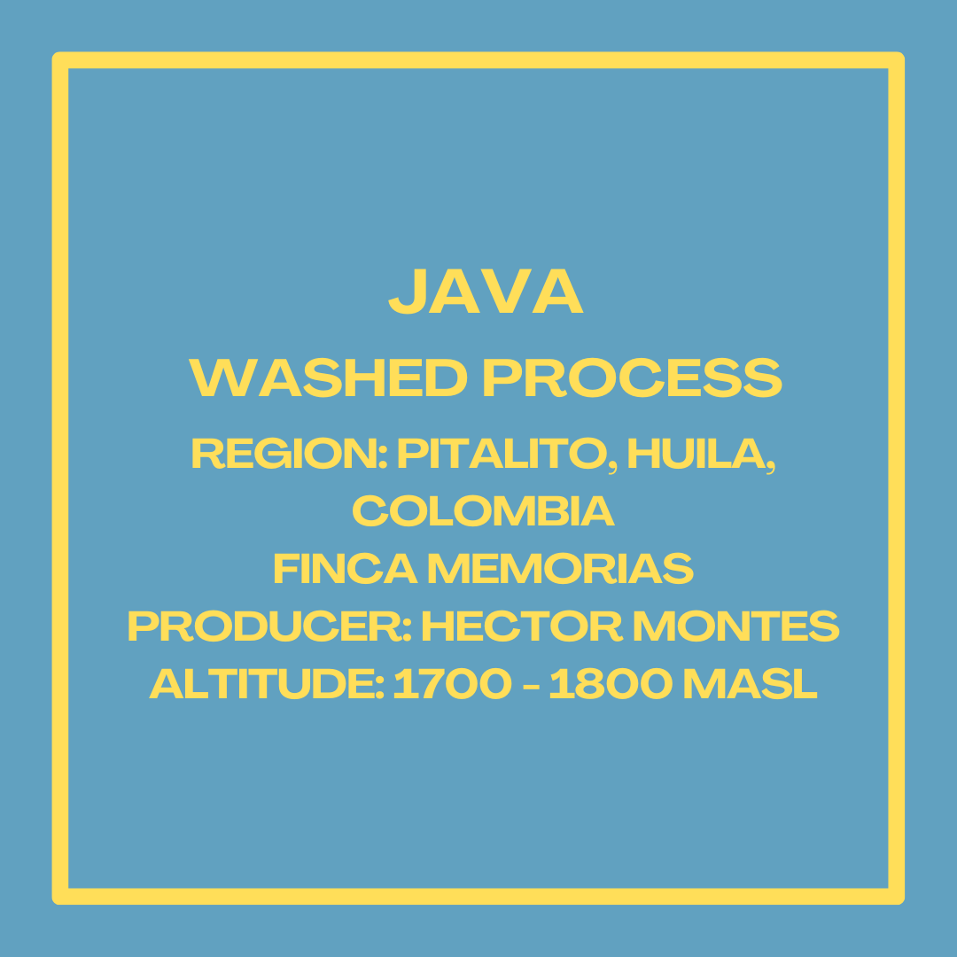 JavaWashedHectorMontesInfosquare.png