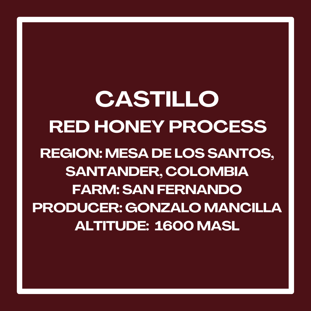 CastilloRedHoneyMancillaInfoSquare.png