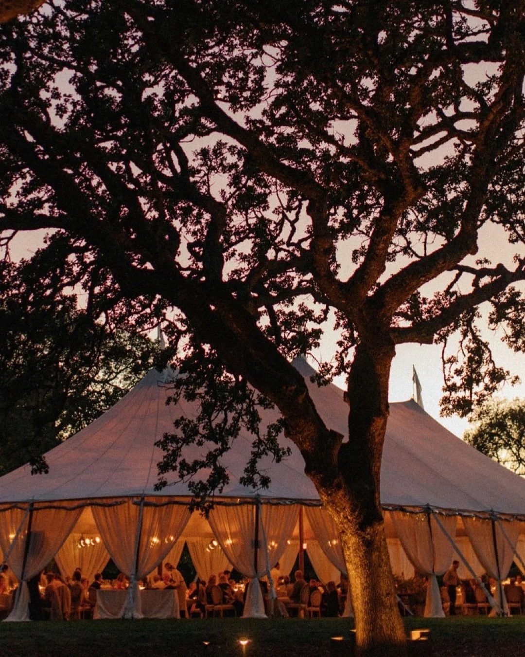 A special wine country wedding uniting floral designer @anewdimensionfloral and her winemaker husband, amidst the vines of Sonoma, with blooms grown just for the occasion by @lamusadelasflores. Such a heartfelt celebration of the sweetest pair planne