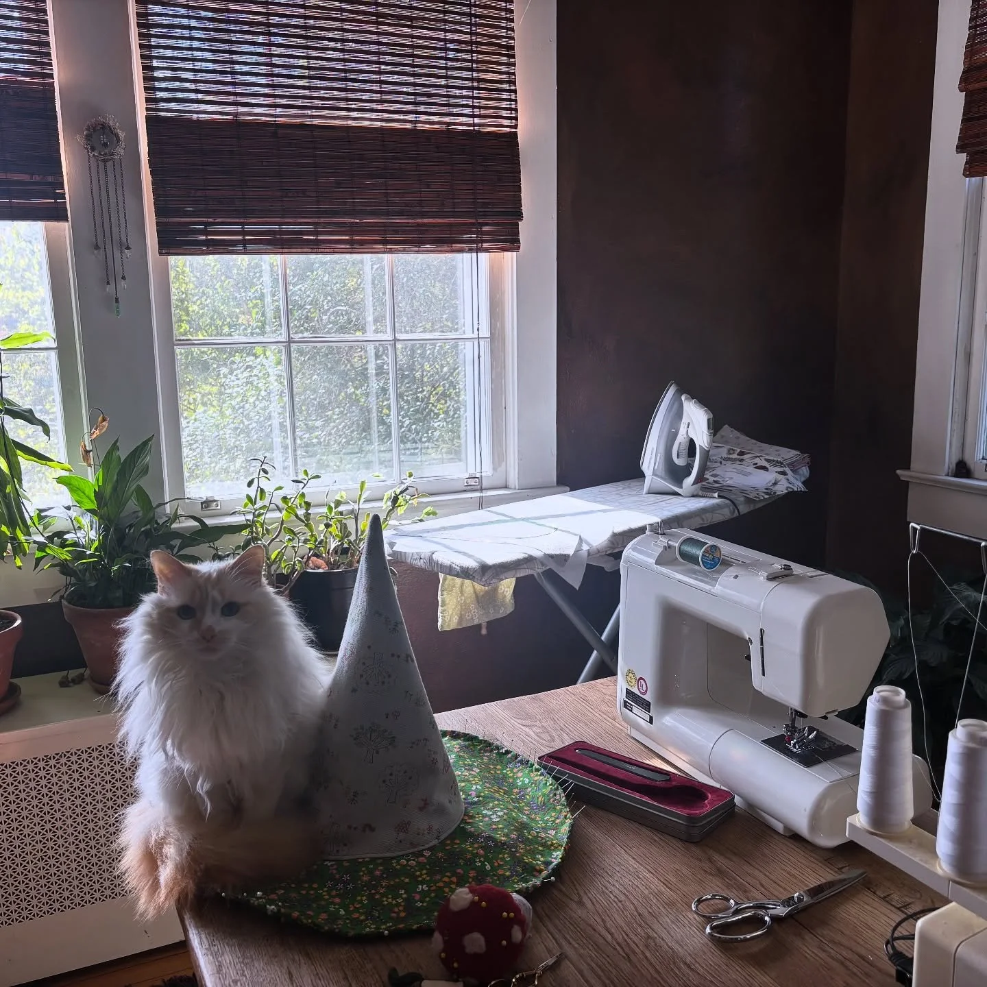 Tis the season.🧙🏻&zwj;♀️
I have been busy sewing up some witch hats for a lovely local shop @ginny.lous . I used so to sew a good bit for myself &amp; children when they were little. I was also exploring making quilts. So I have held onto a lot of 