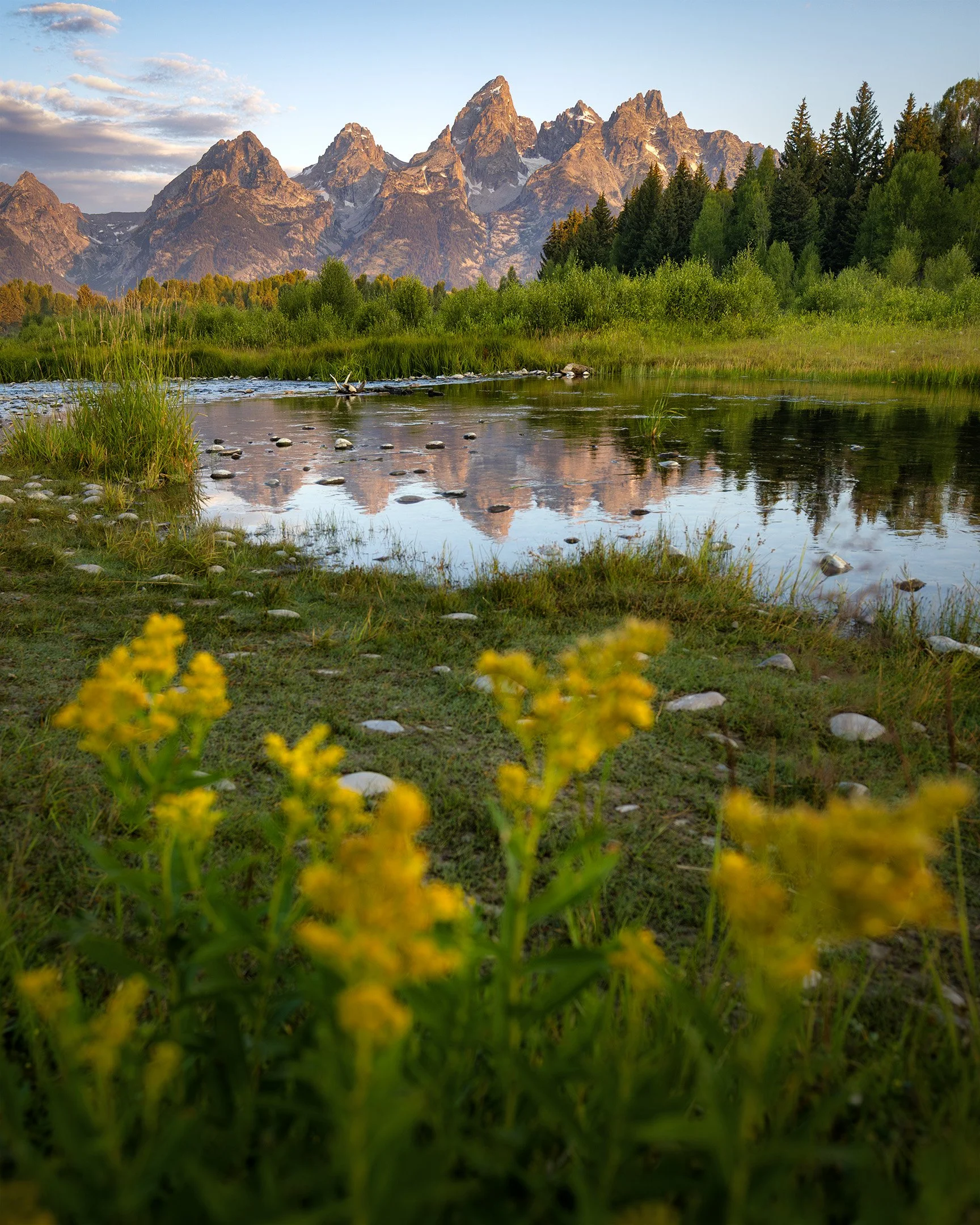 Tetons & Yellowstone July 2025