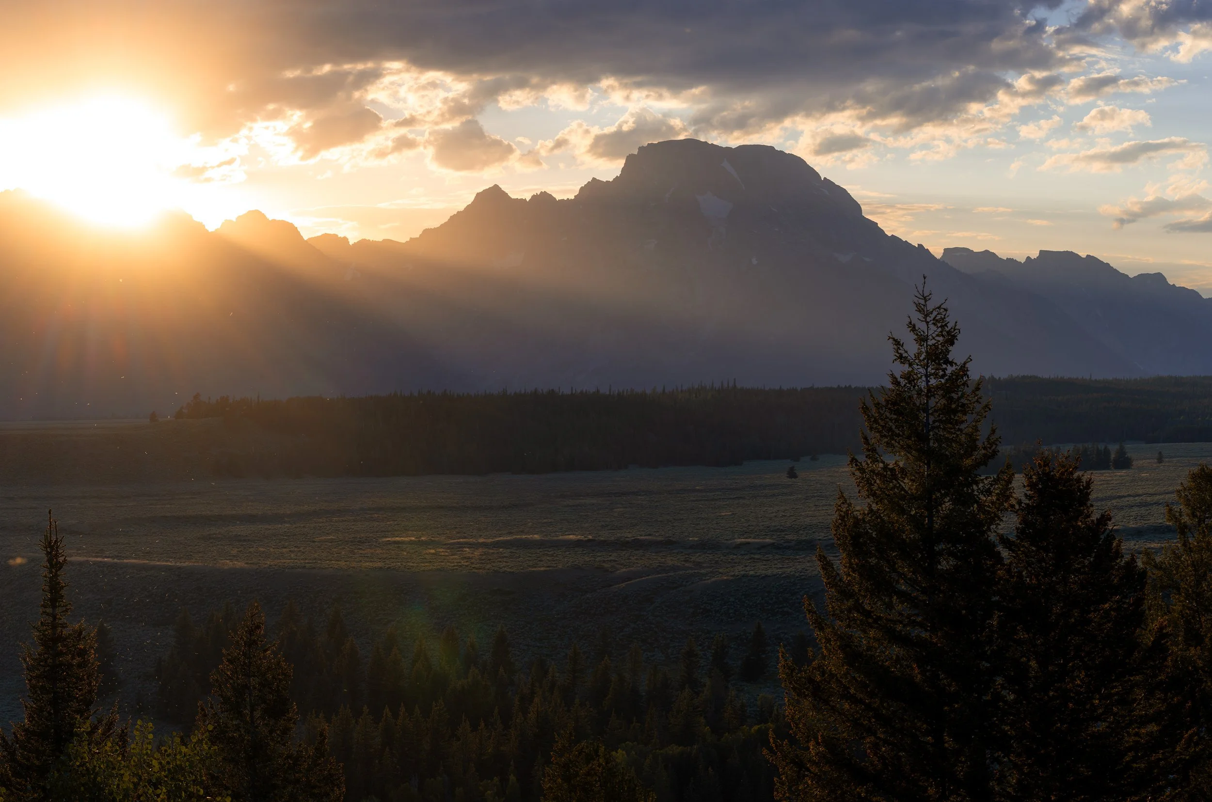_5II9179-Pano sm.jpg