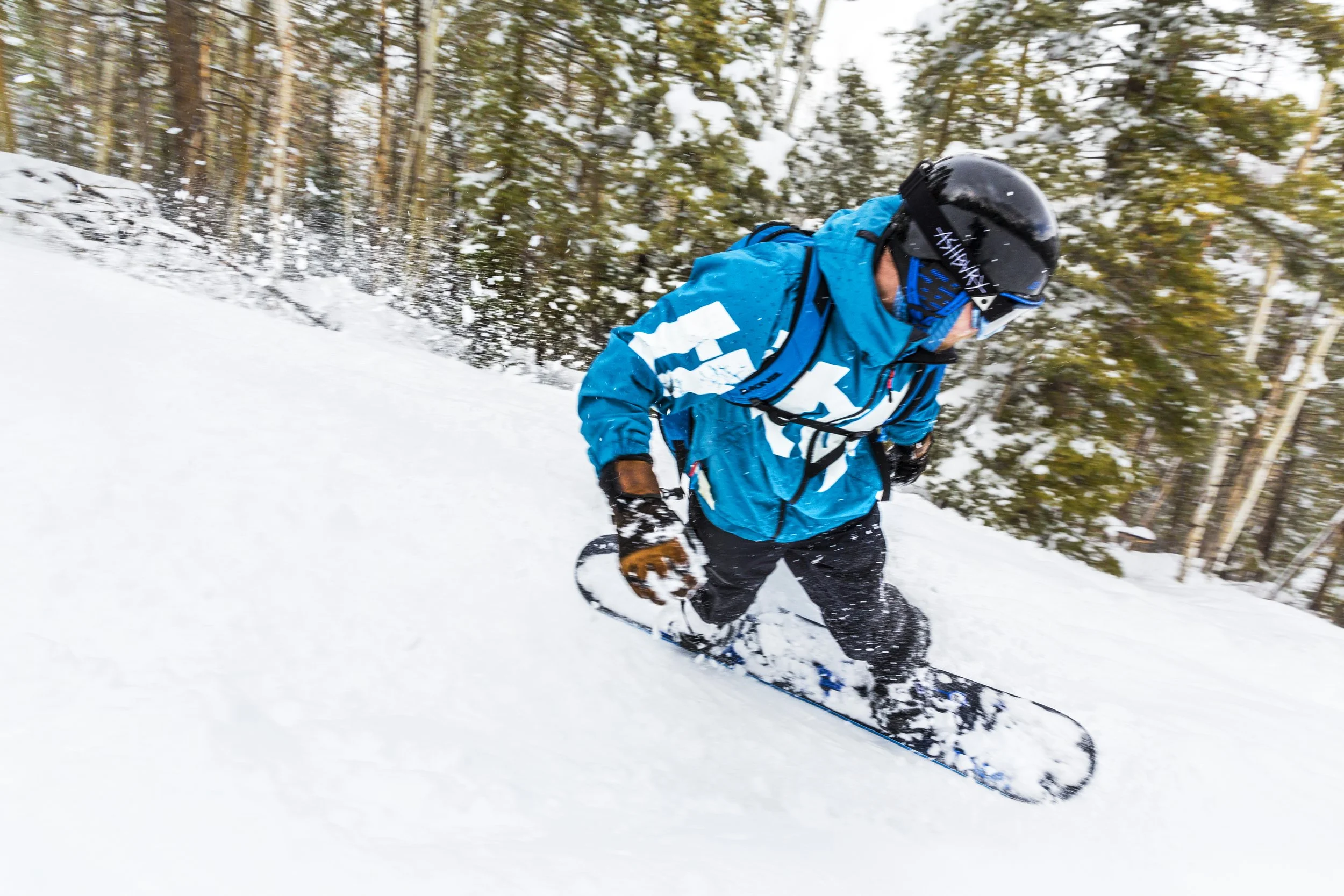 AY7A9083.jpg