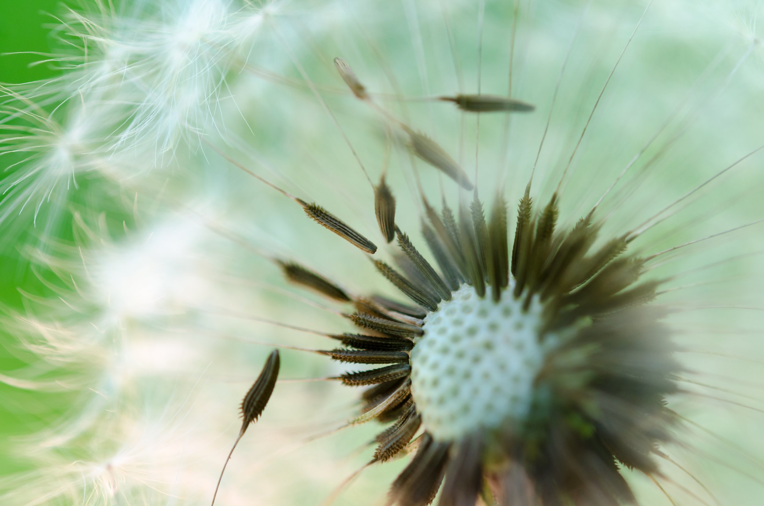 Pregnancy-Safe Allergy Relief