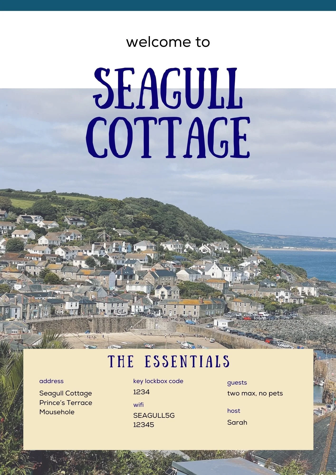 seagull1.jpg