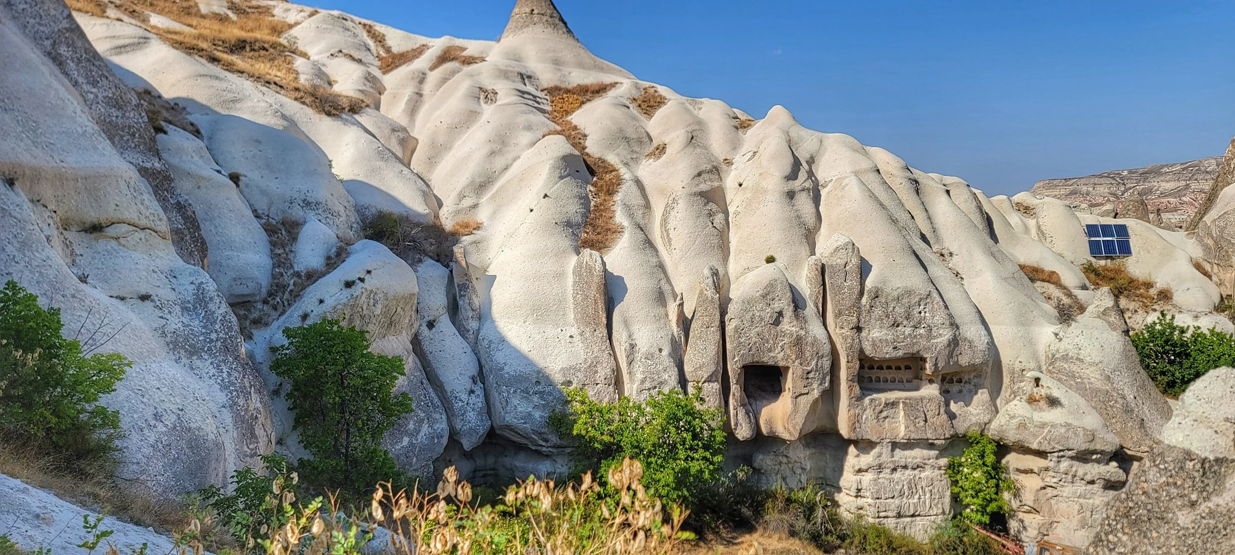 20230909_150613-01 (1).jpeg