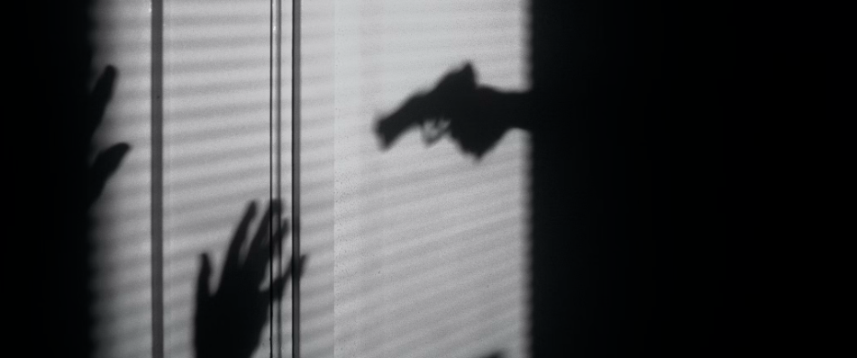 Shadow of a hand and a toy dinosaur cast on blinds
