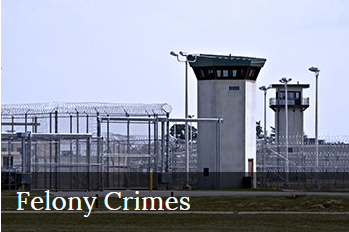 Felony Crimes