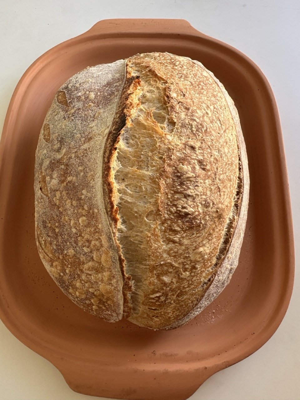 Country Loaf