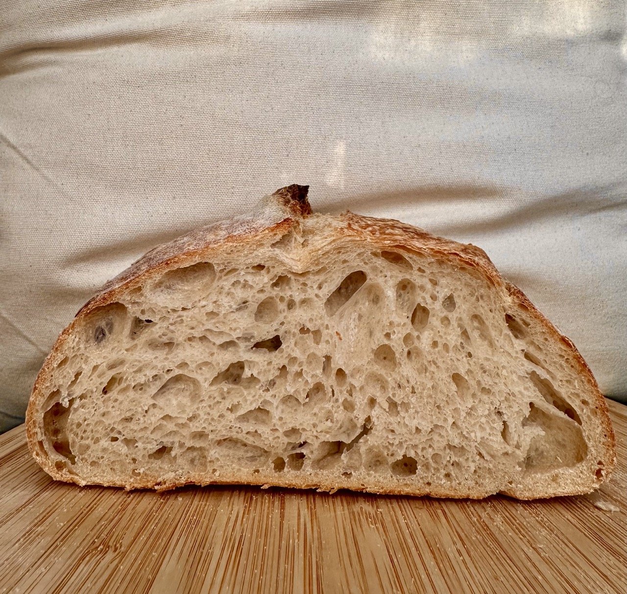 batard crumb.jpeg