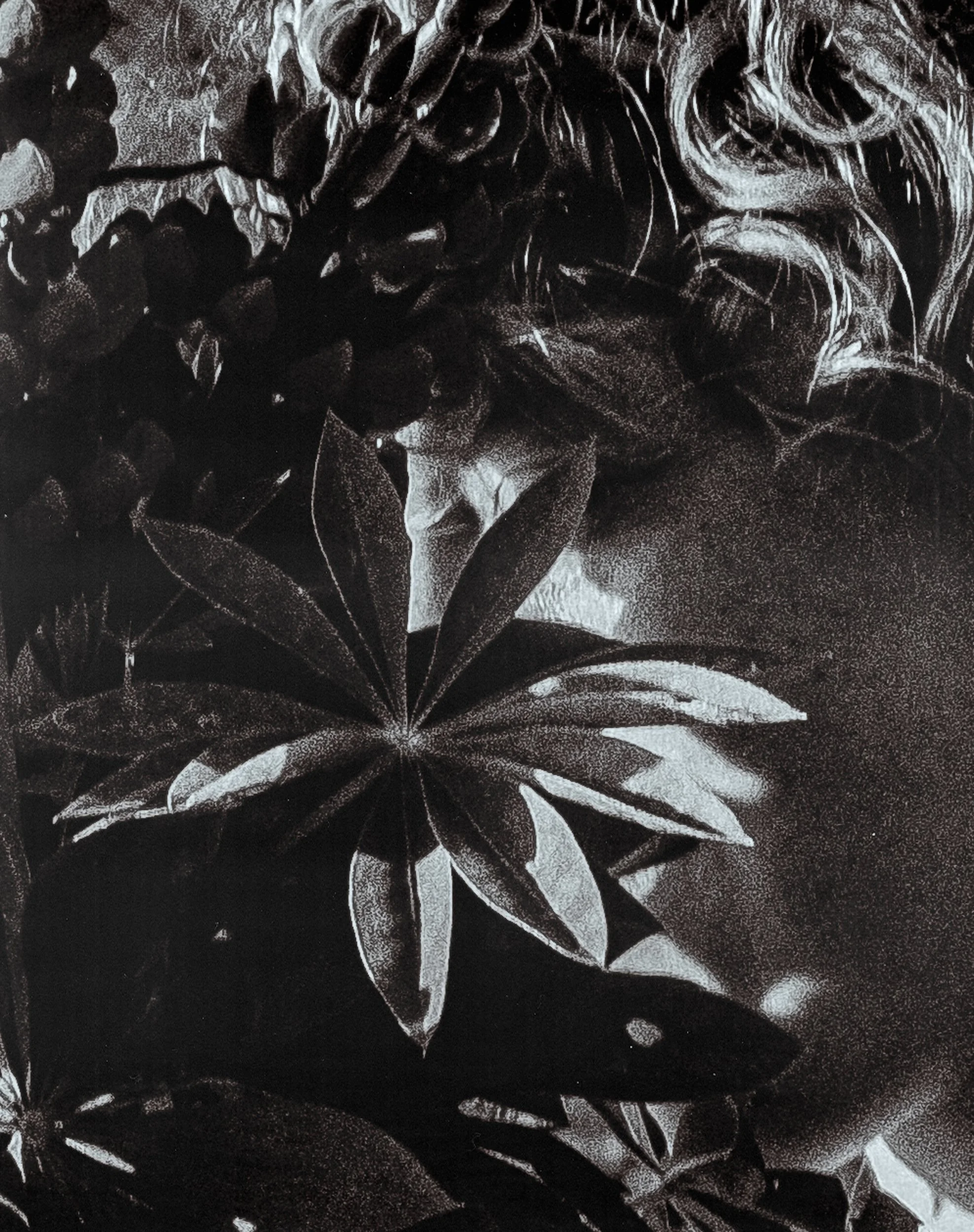 DSCF8053-Edit.jpg