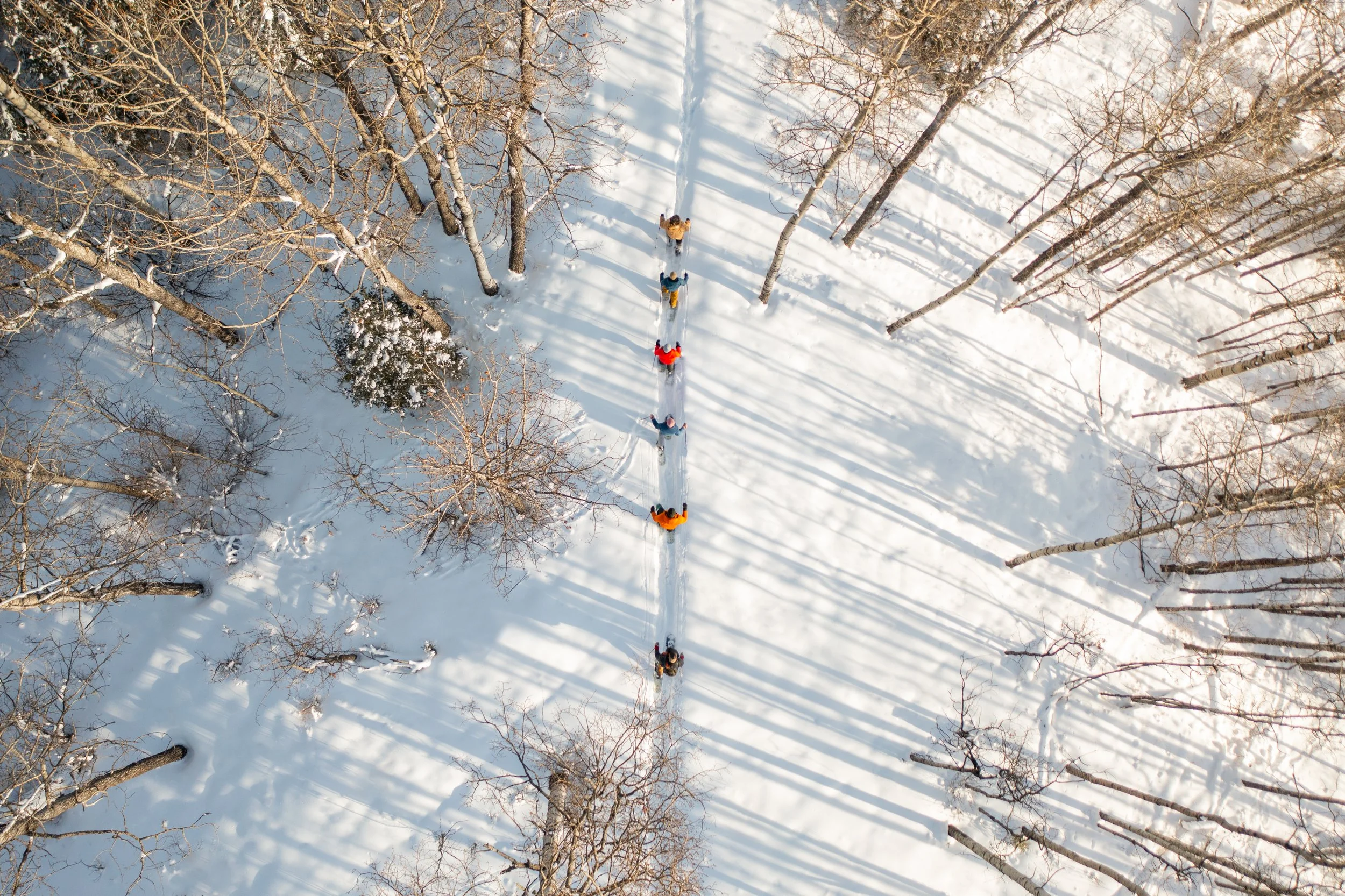 Winter_MahikanTrails_GuidedWalk_DJI_0704.jpg