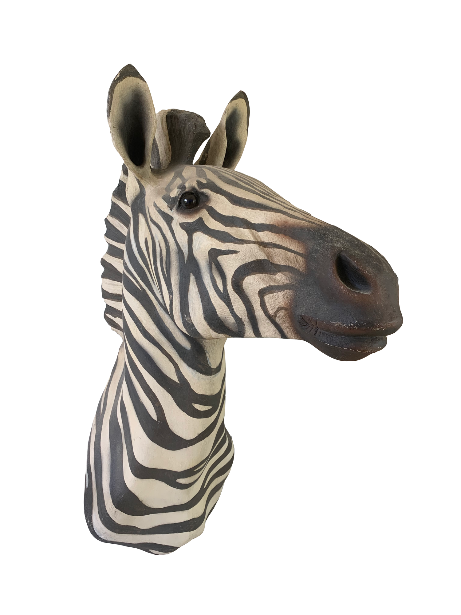 Hank the Zebra — Alison Pickart