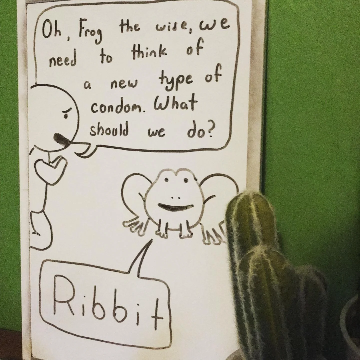 Toad-ally #whiteboard #puns