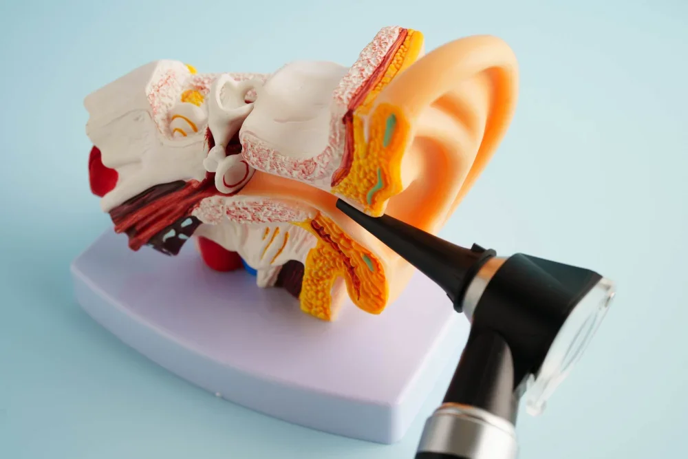 An otoscope with an ear model