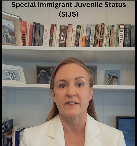 Thumbnail - SIJS.png