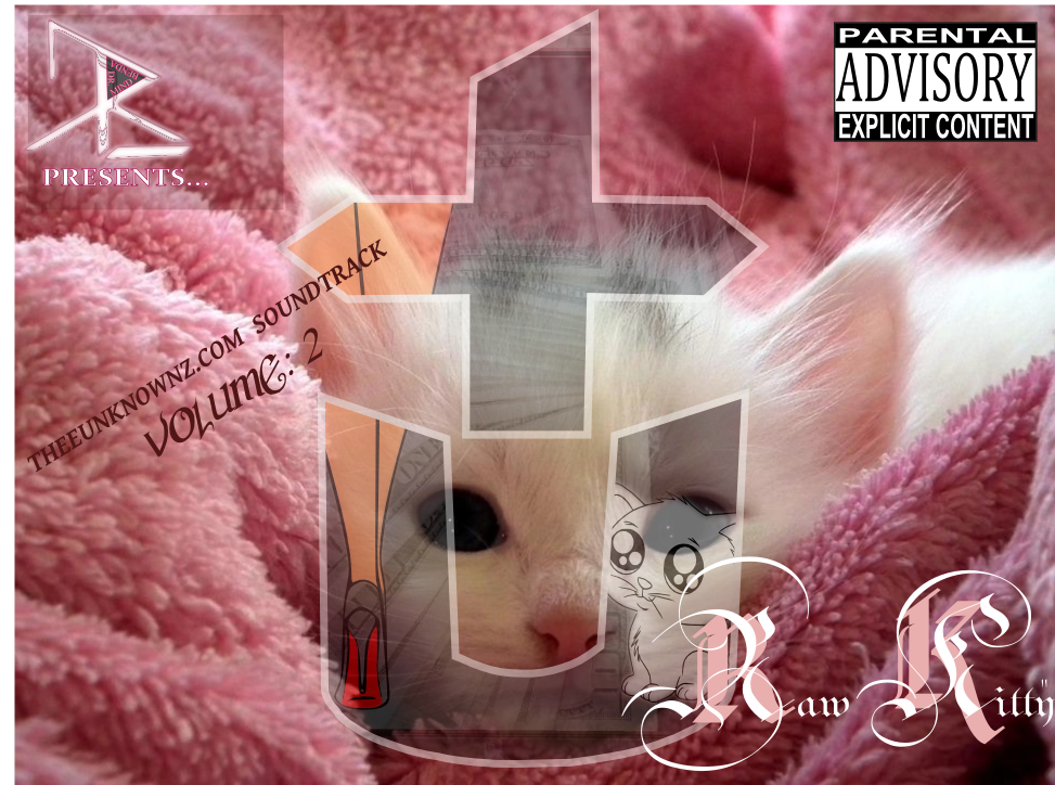 RAW KITTY: THEEUNKNOWNZ.COM SOUNDTRACK VOLUME: 2 (ALBUM)