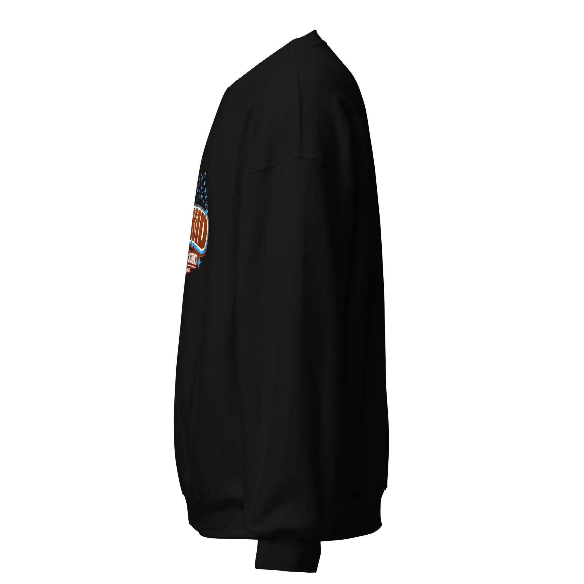 unisex-crew-neck-sweatshirt-black-left-6a8181cd59252.jpg