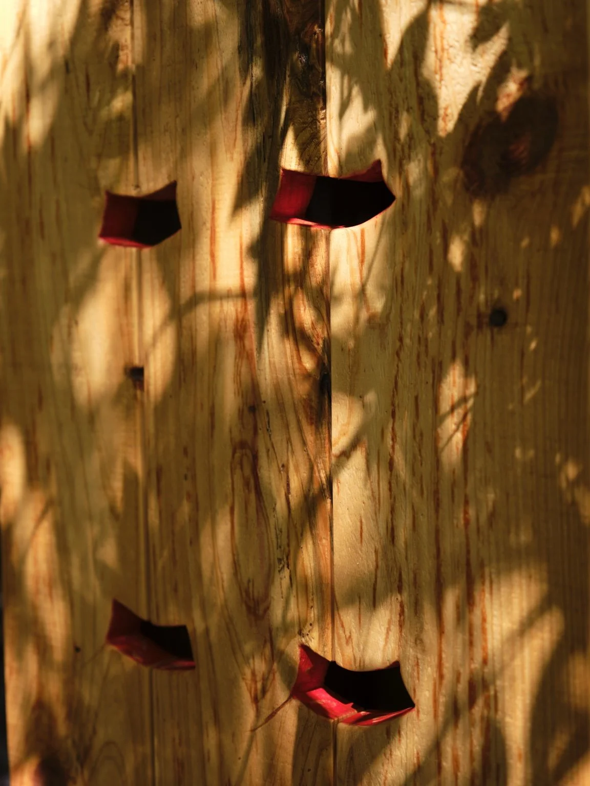 img-035.jpg