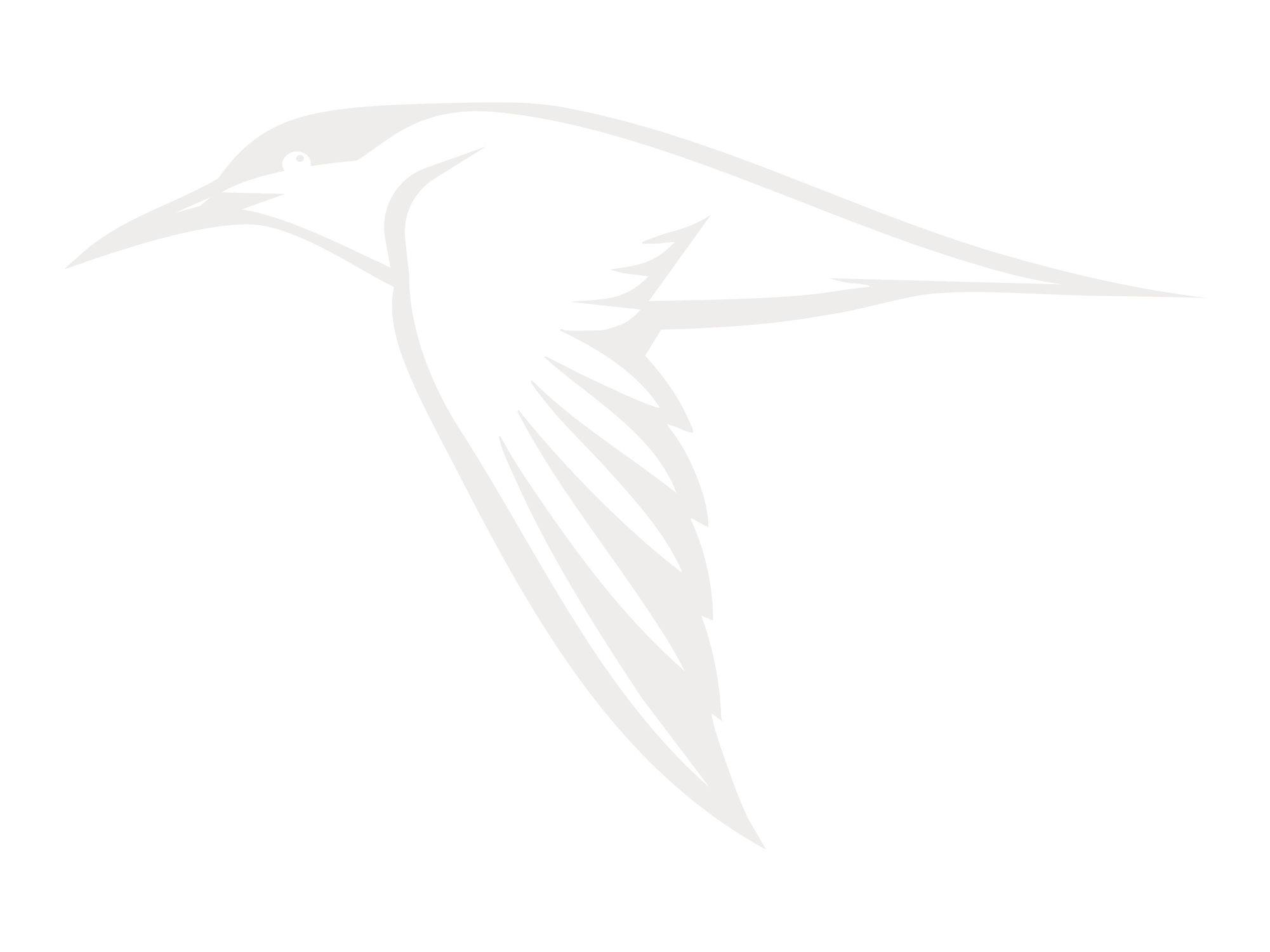 ELEGANT TERN - White Transparent 2000 x 1500