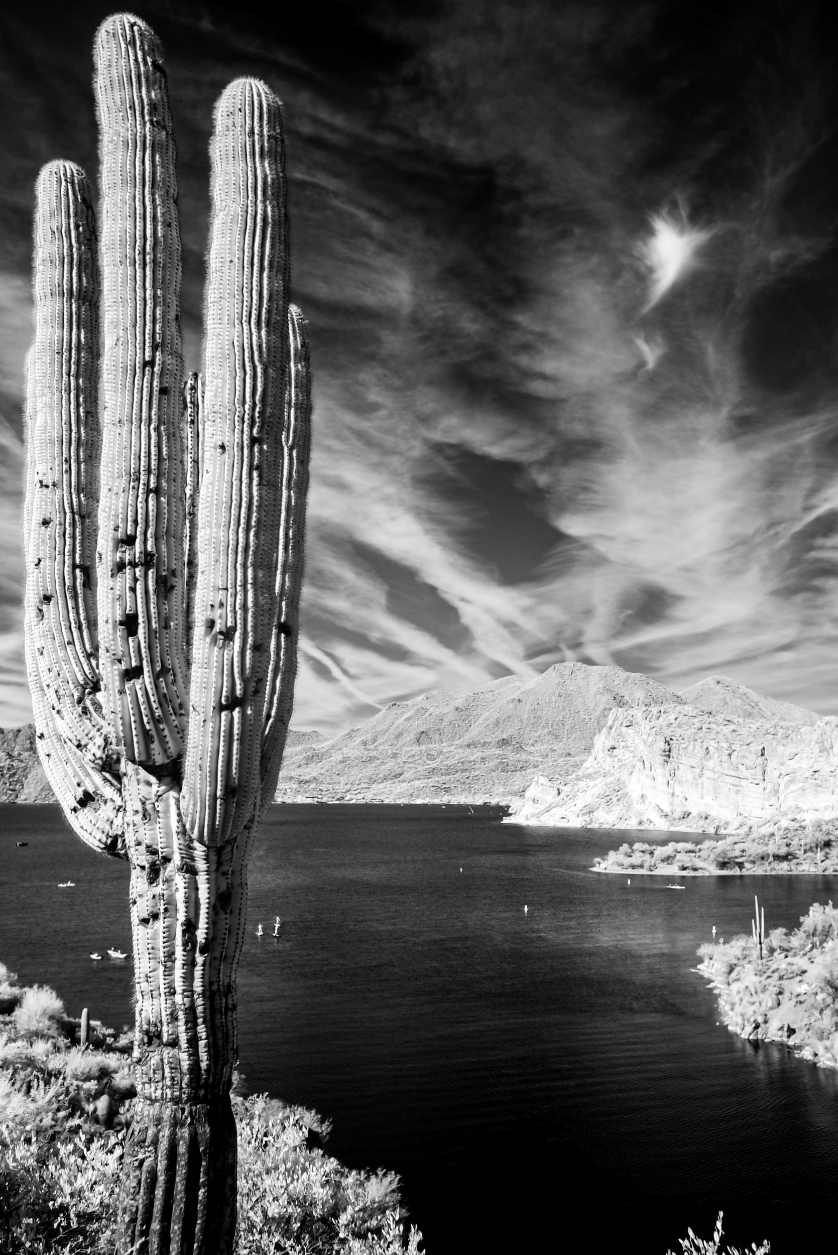 004_Marcy Pinetti Infrared.jpg