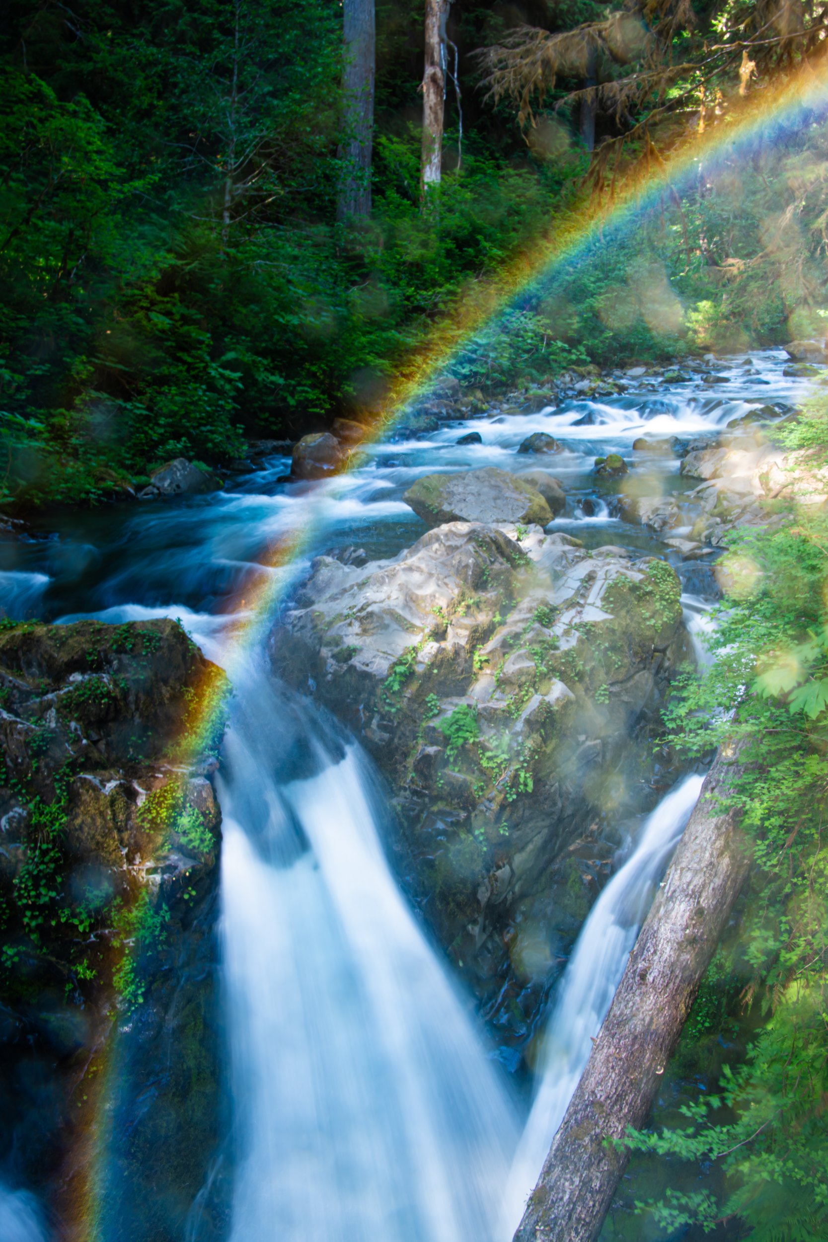 010_Marcy Pinetti Waterfalls.jpg