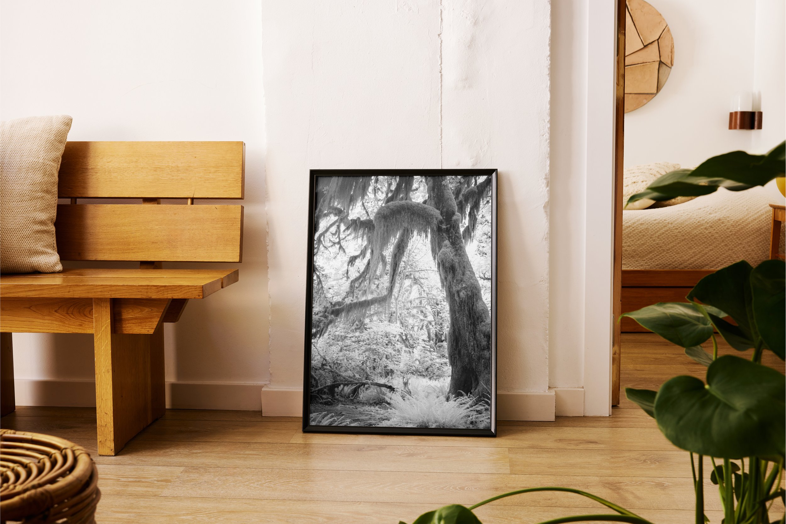 vertical poster Black frame dancing tree.jpg