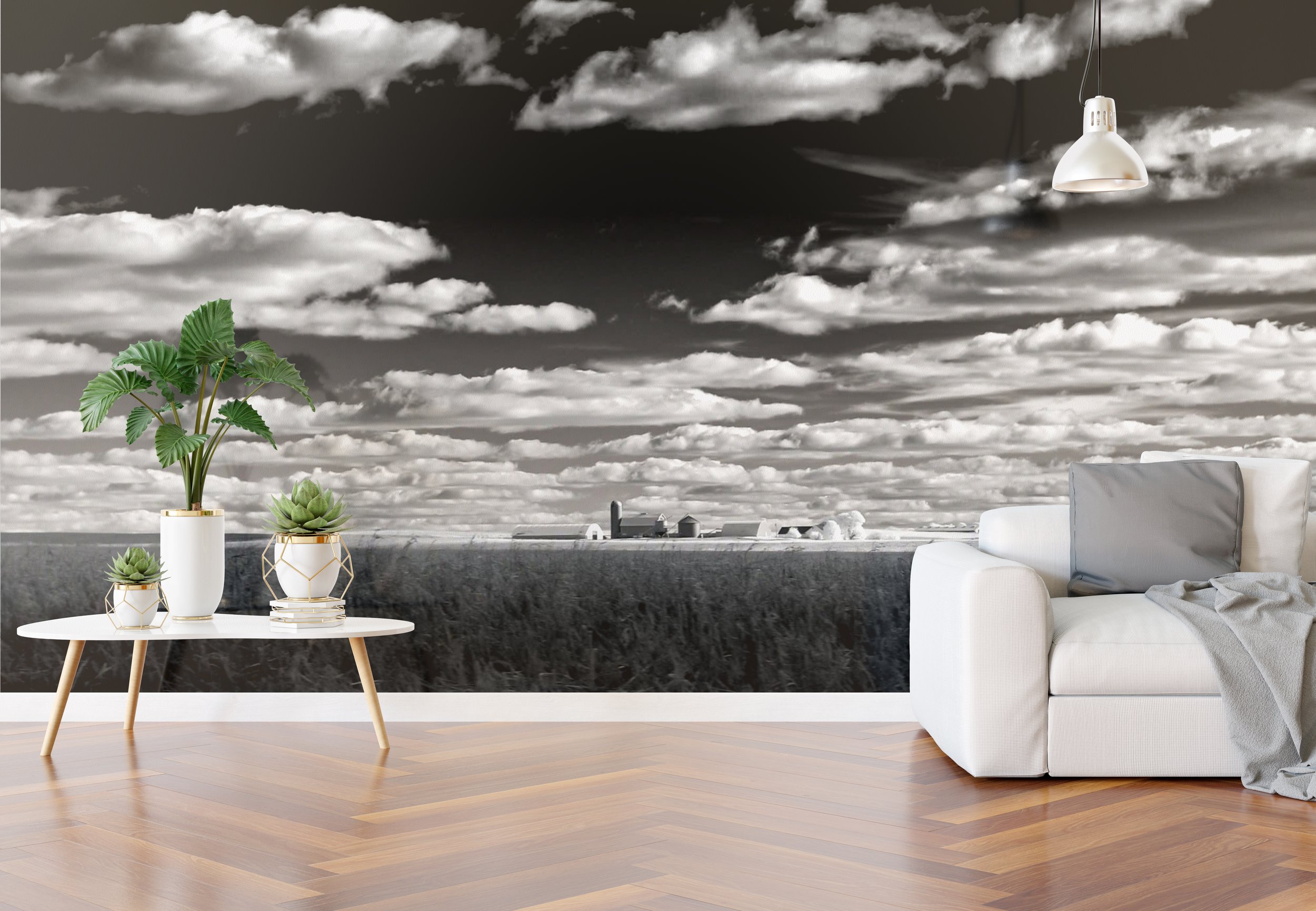 livinbg room midwest dreamin.jpg