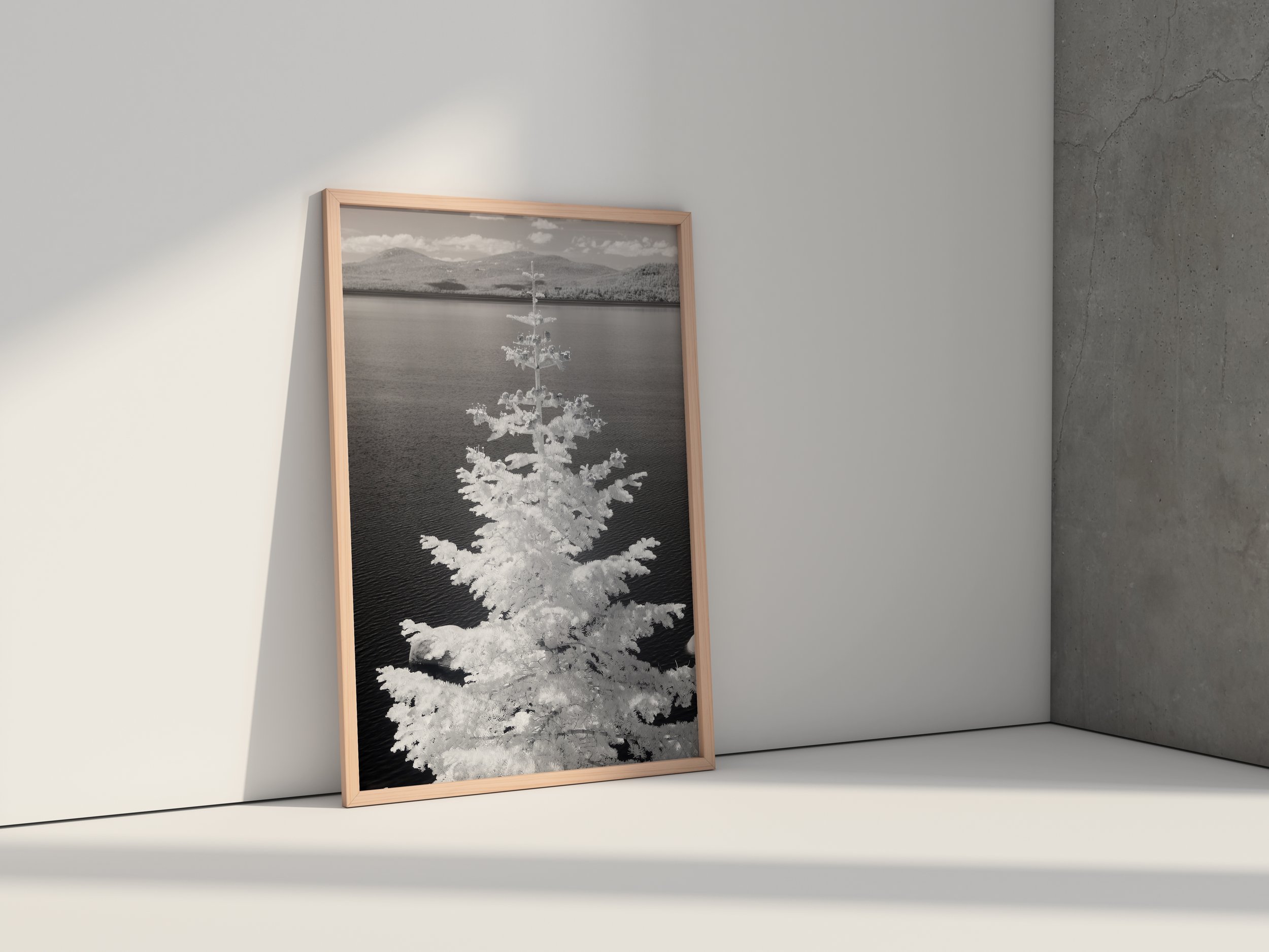 Vertical poster pine.jpg