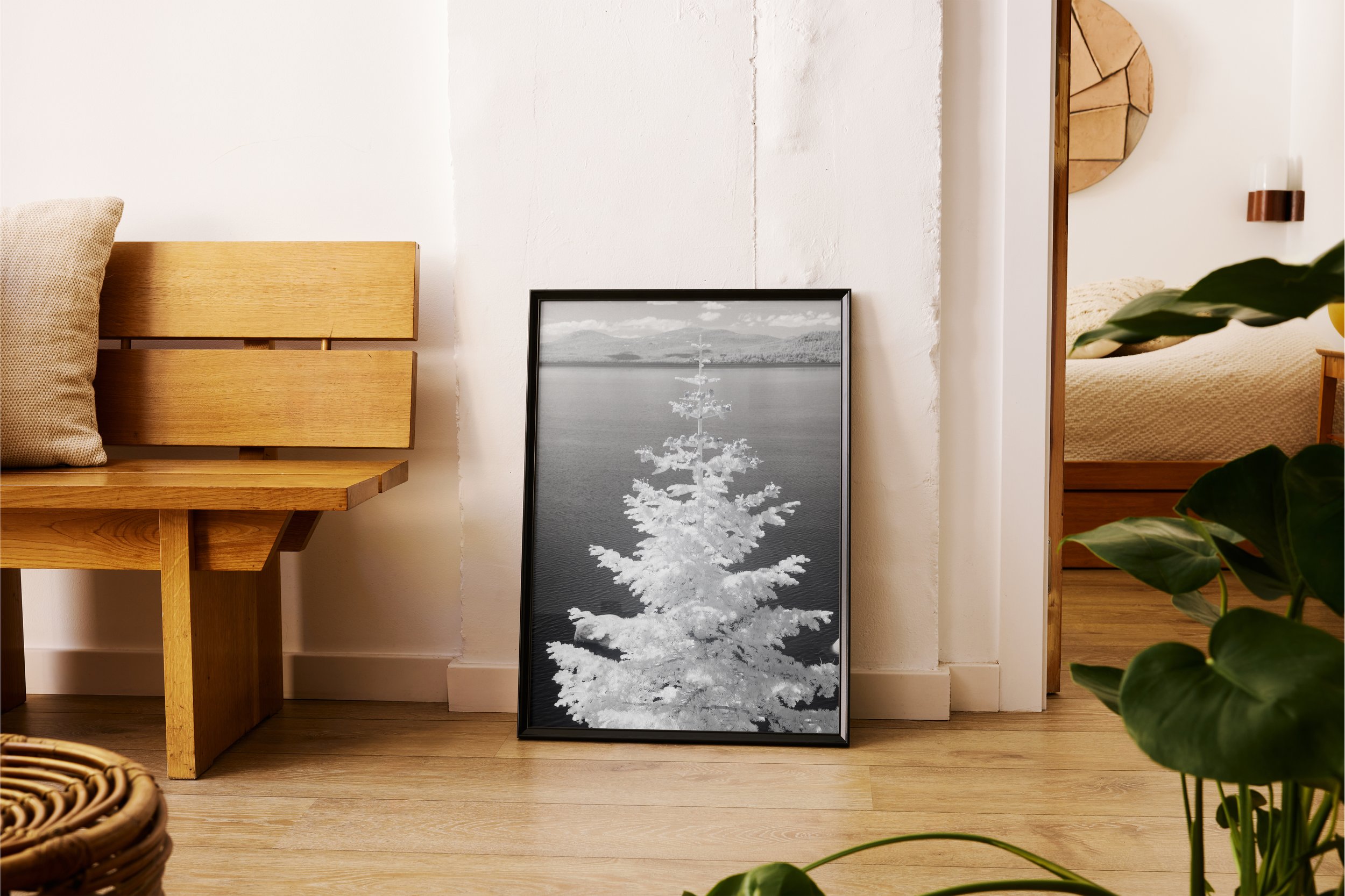 vertical poster Black frame pine.jpg