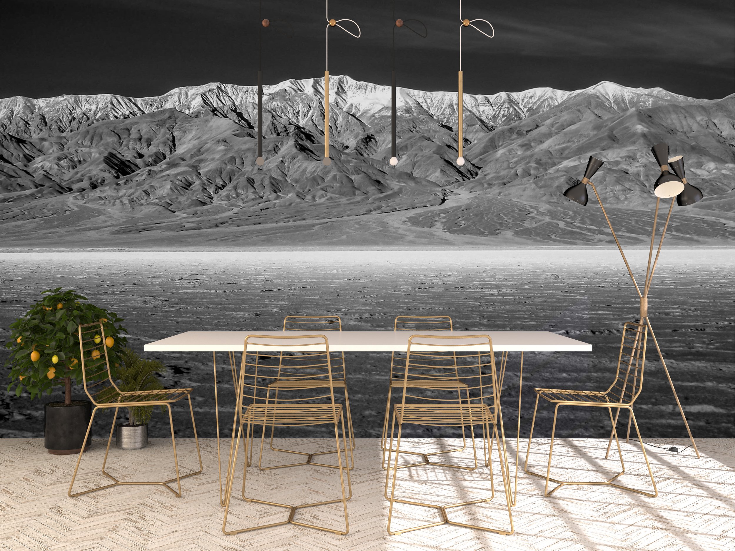 dining room badwater basin.jpg