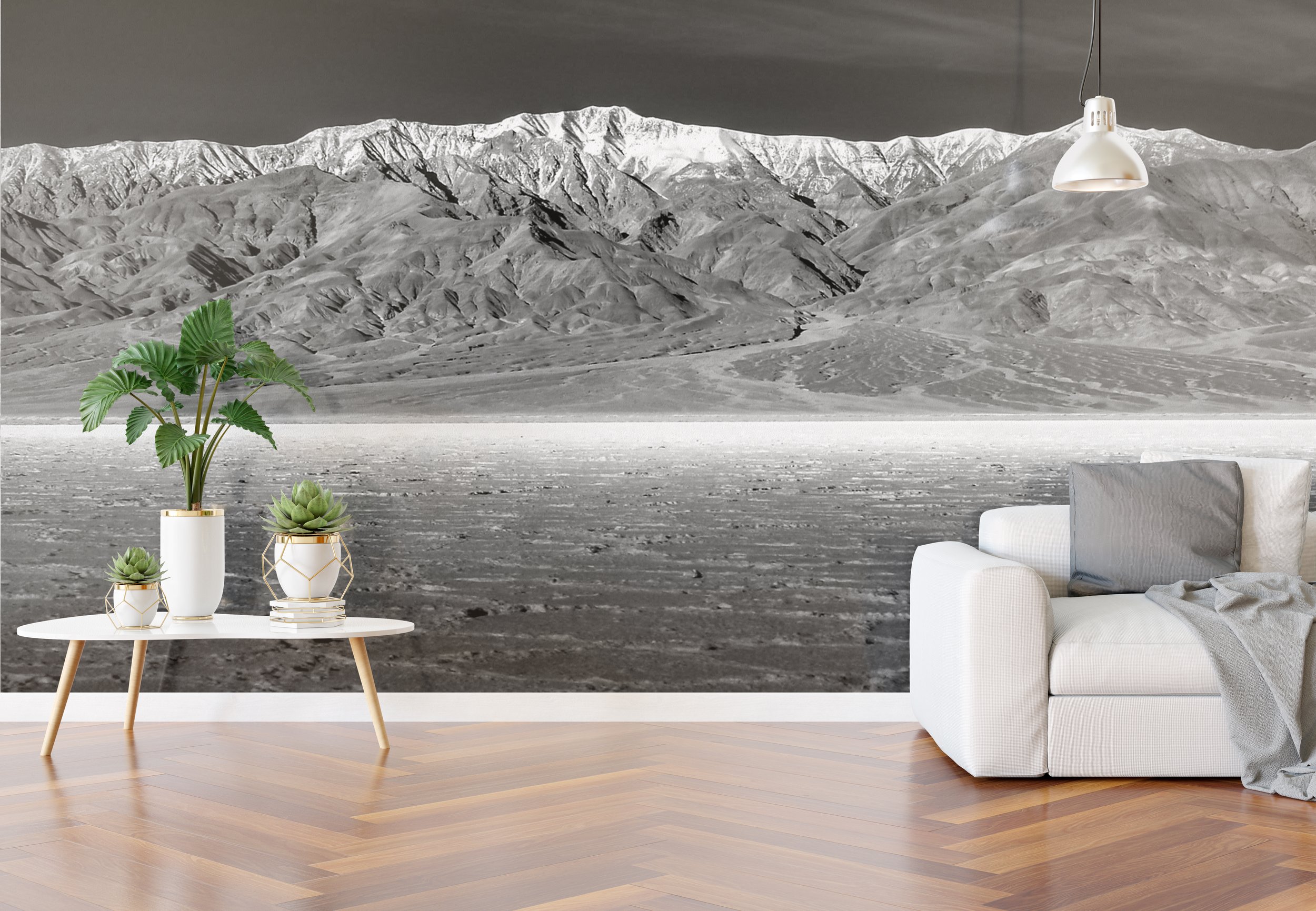 livinbg room badwater basin.jpg