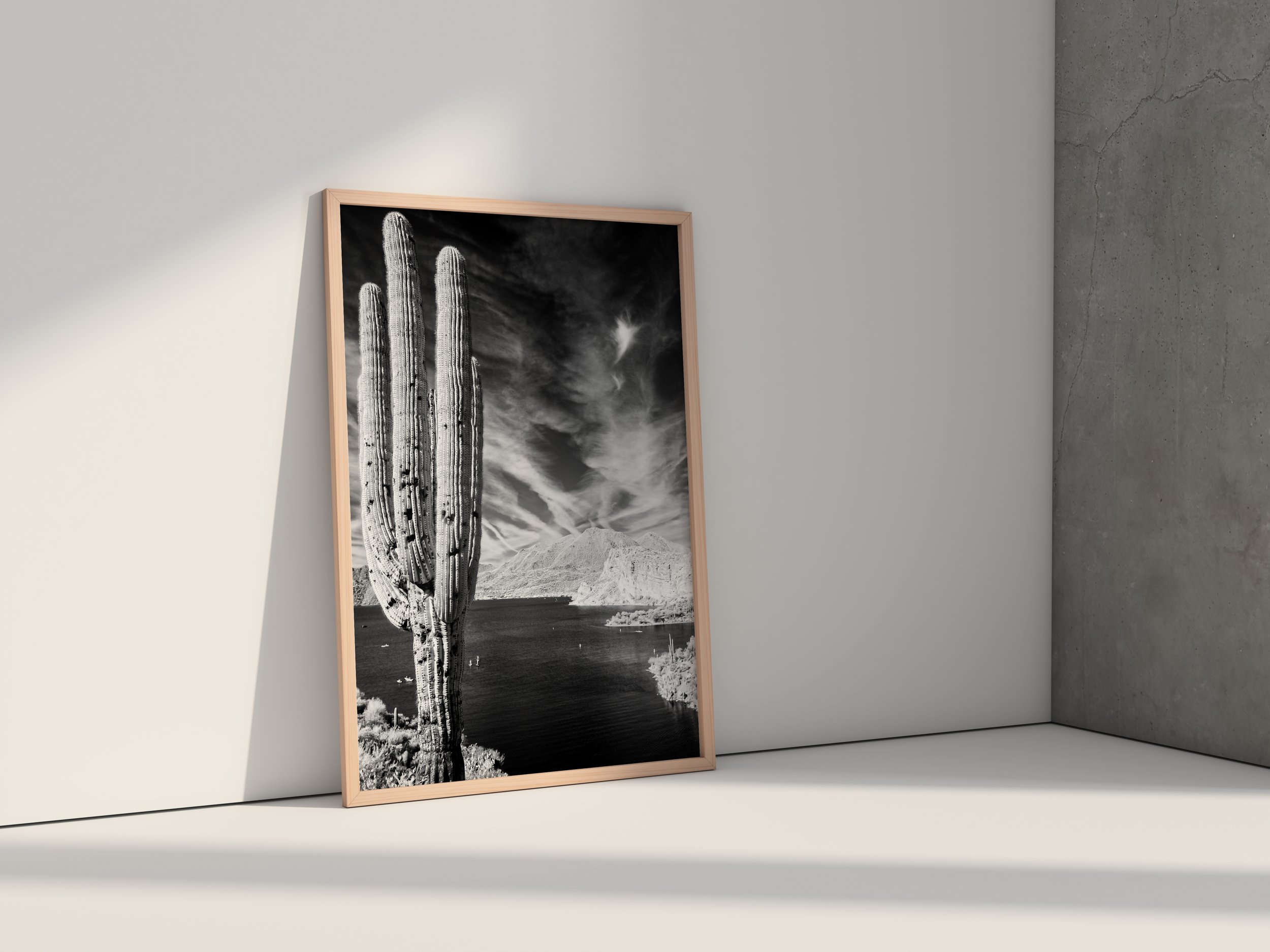 Vertical poster thirsty cactus.jpg