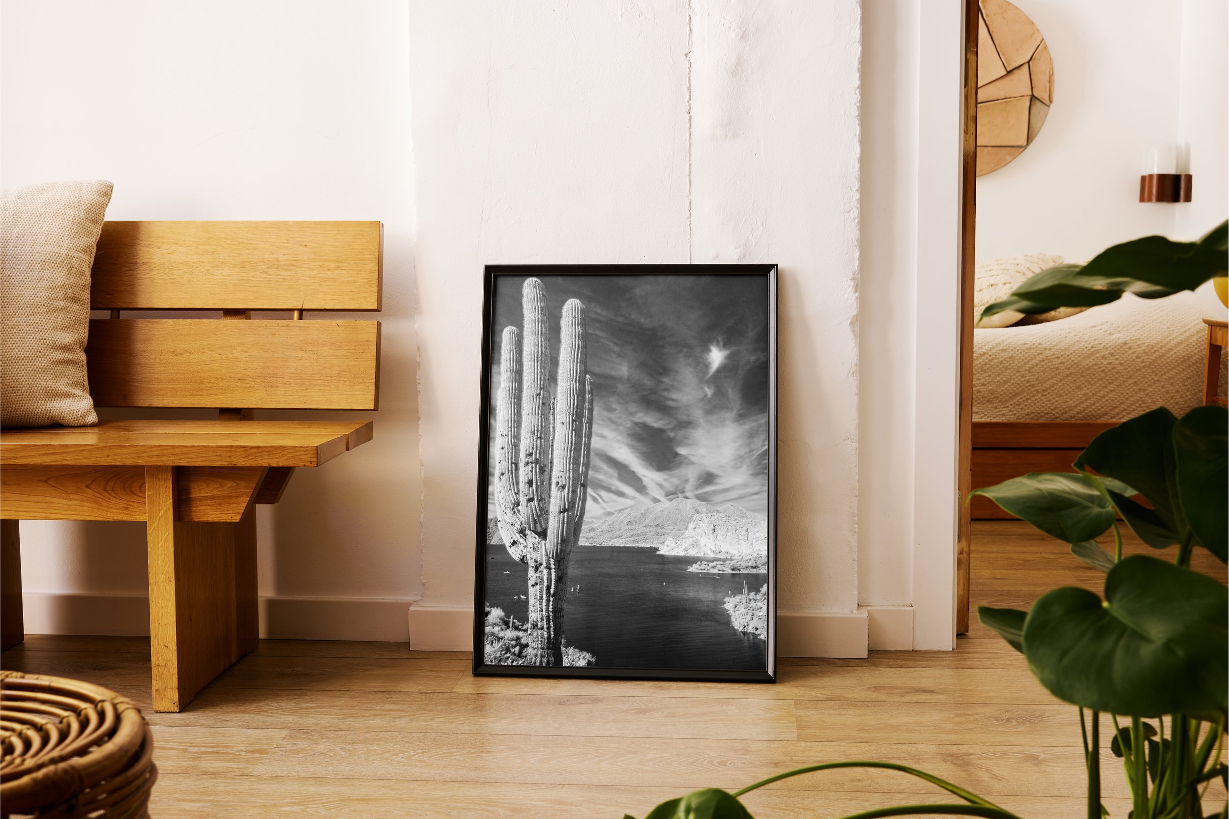 vertical poster Black frame thirsty cactus.jpg