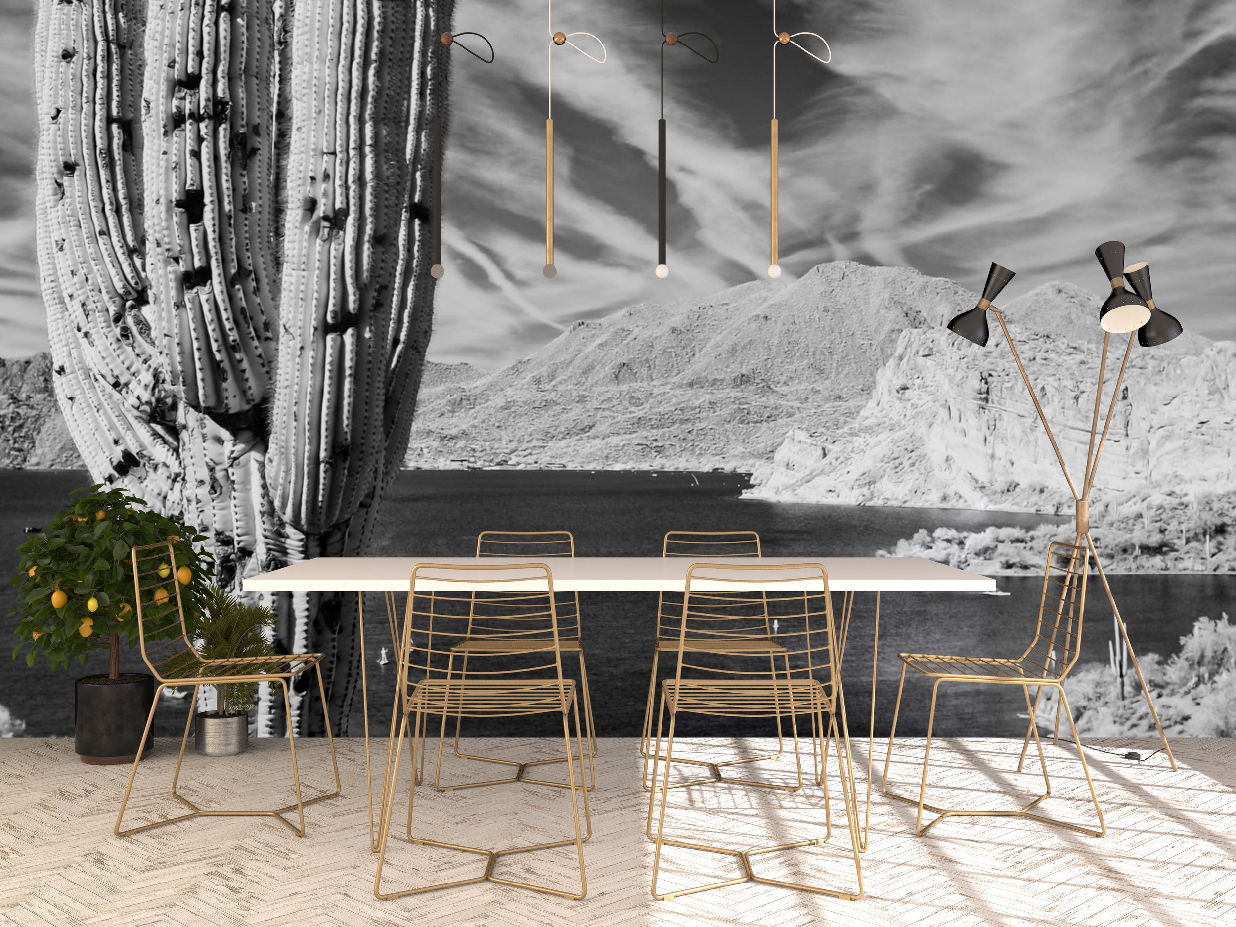dining room thirsty Cactus.jpg