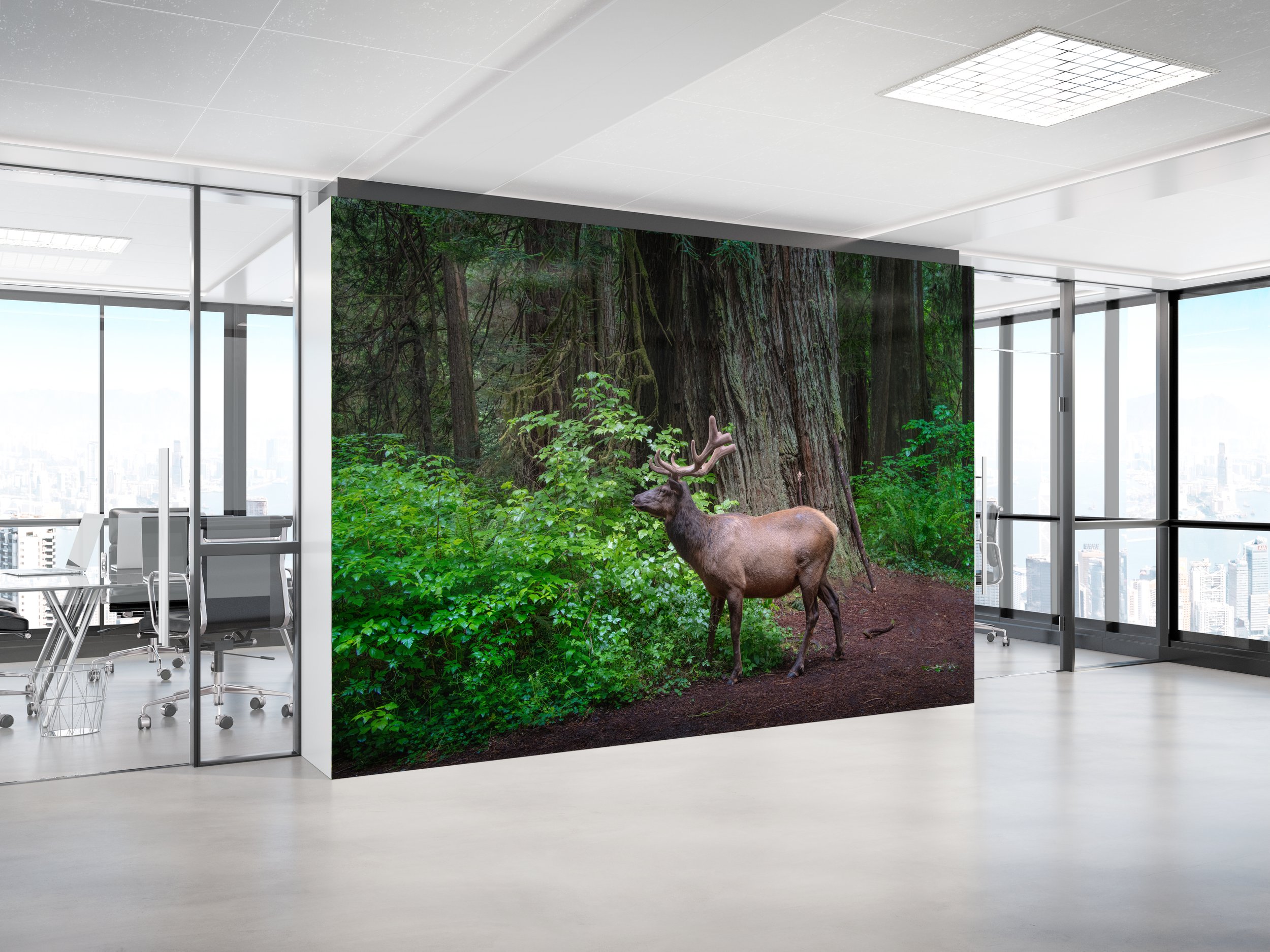 Coastal Elk Office Wall.jpg