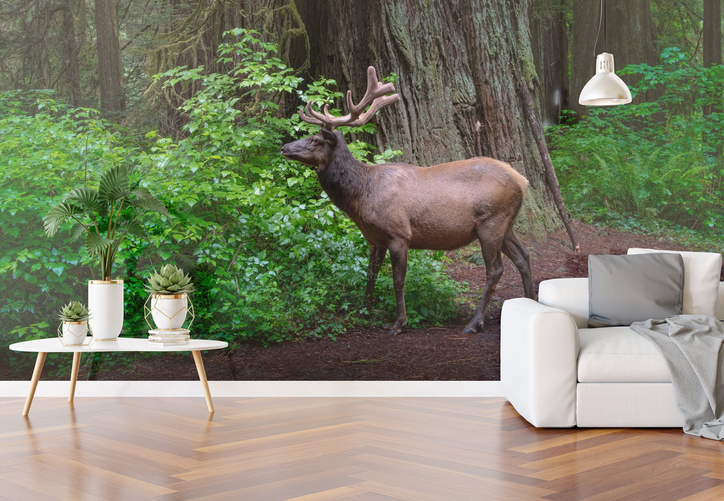 coastal elk with reflection living room wall.jpg