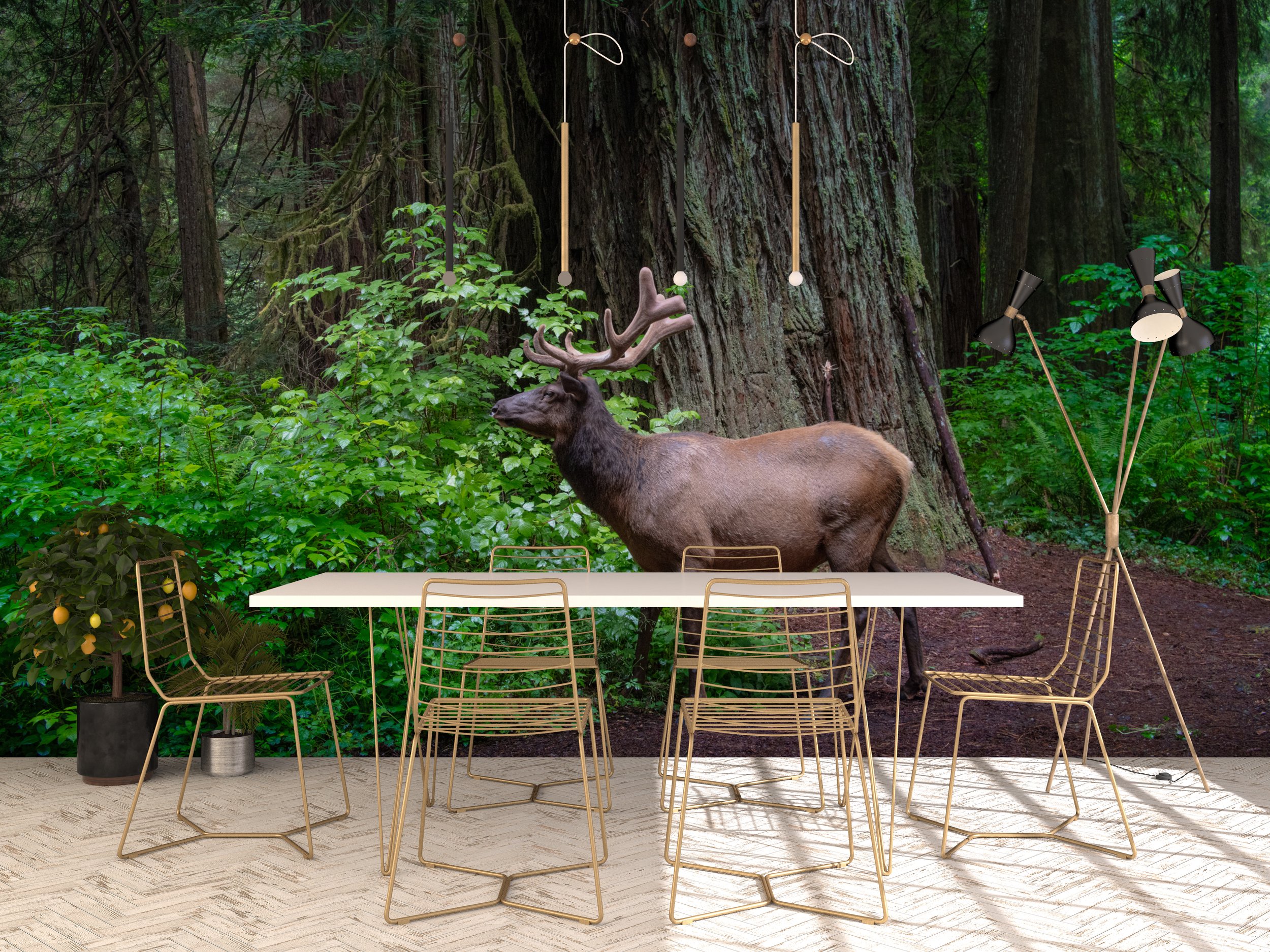 dining room coastal elk.jpg